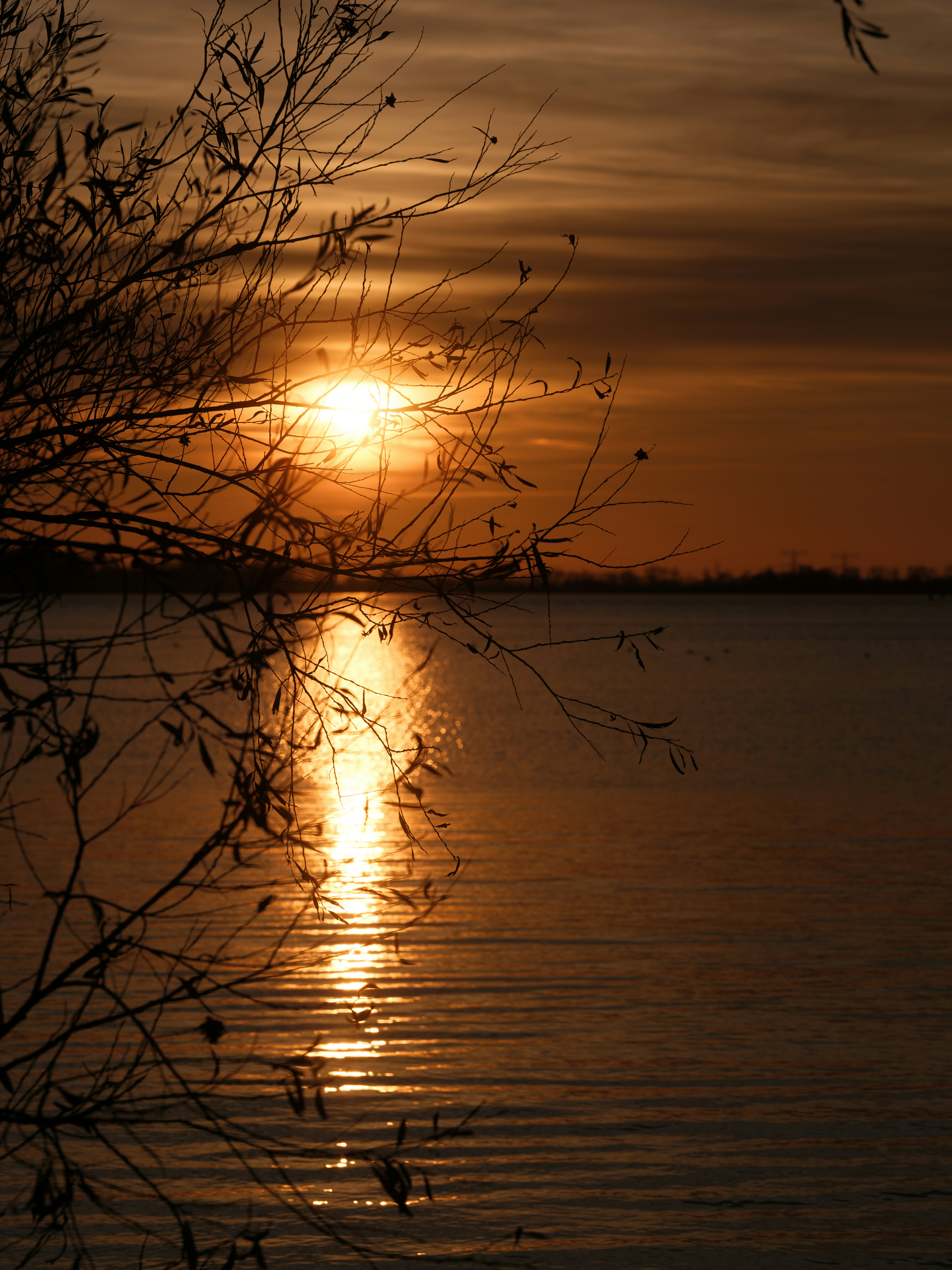 Photo by haberdoedas