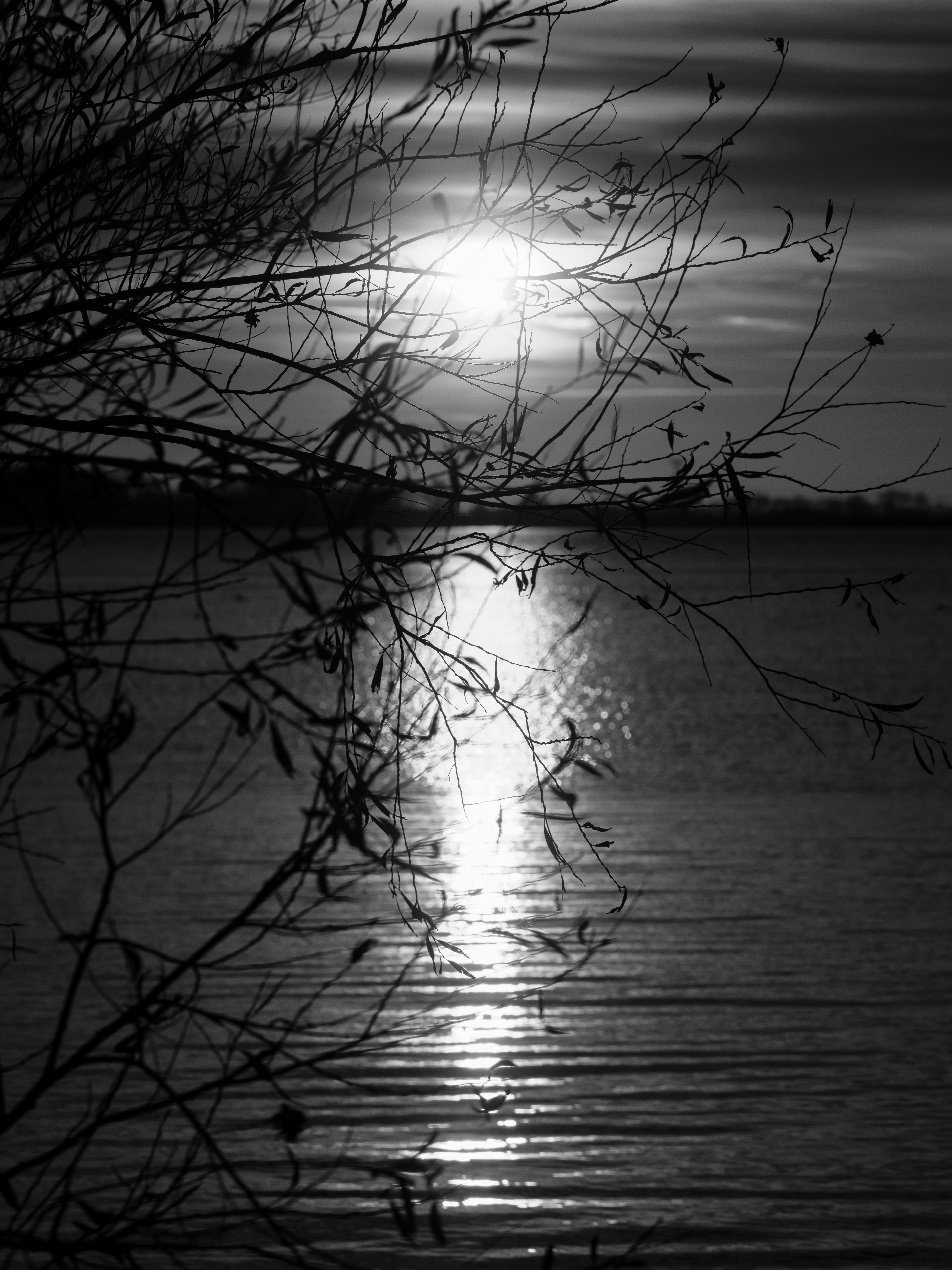 Photo by haberdoedas