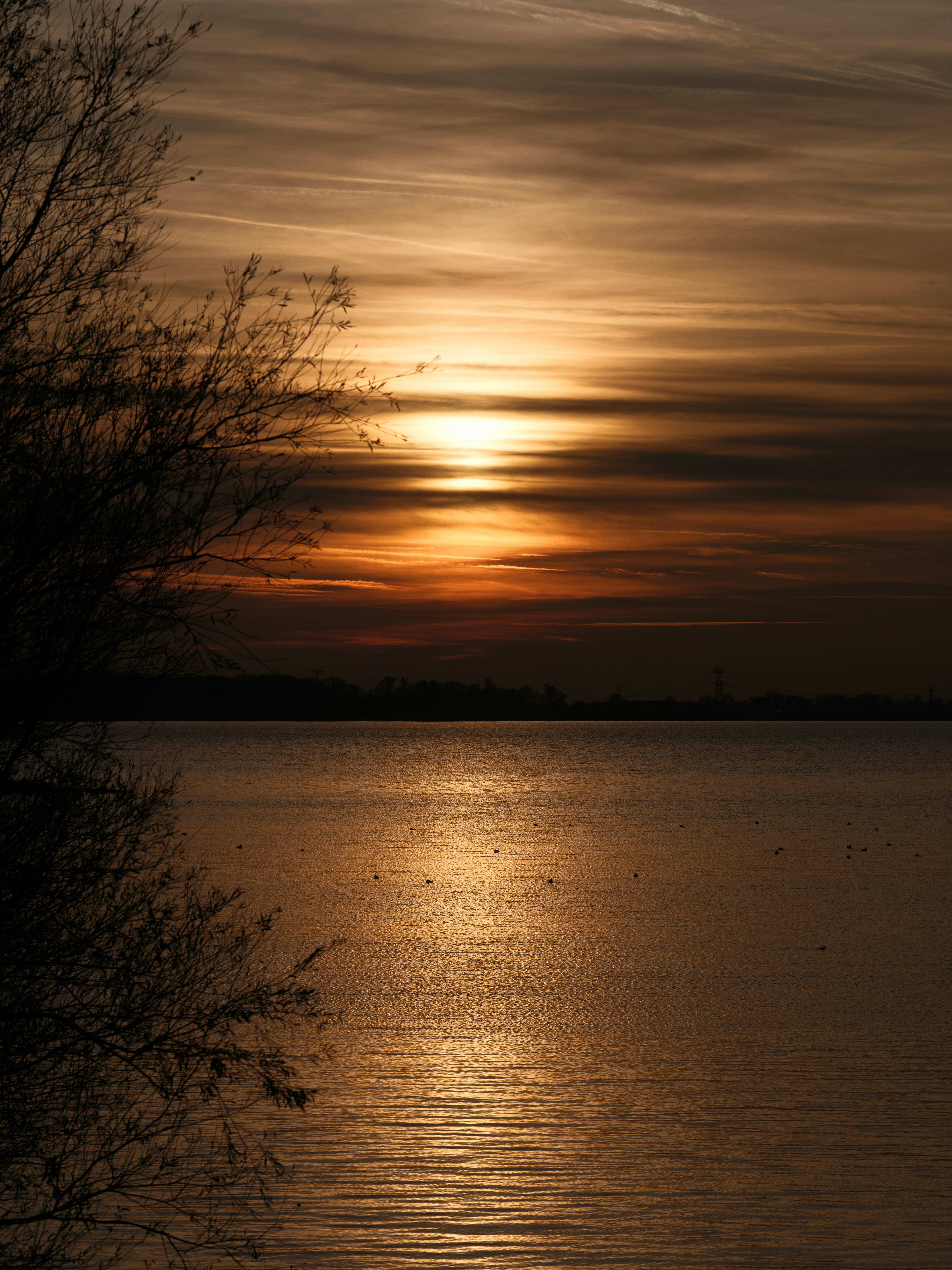 Photo by haberdoedas