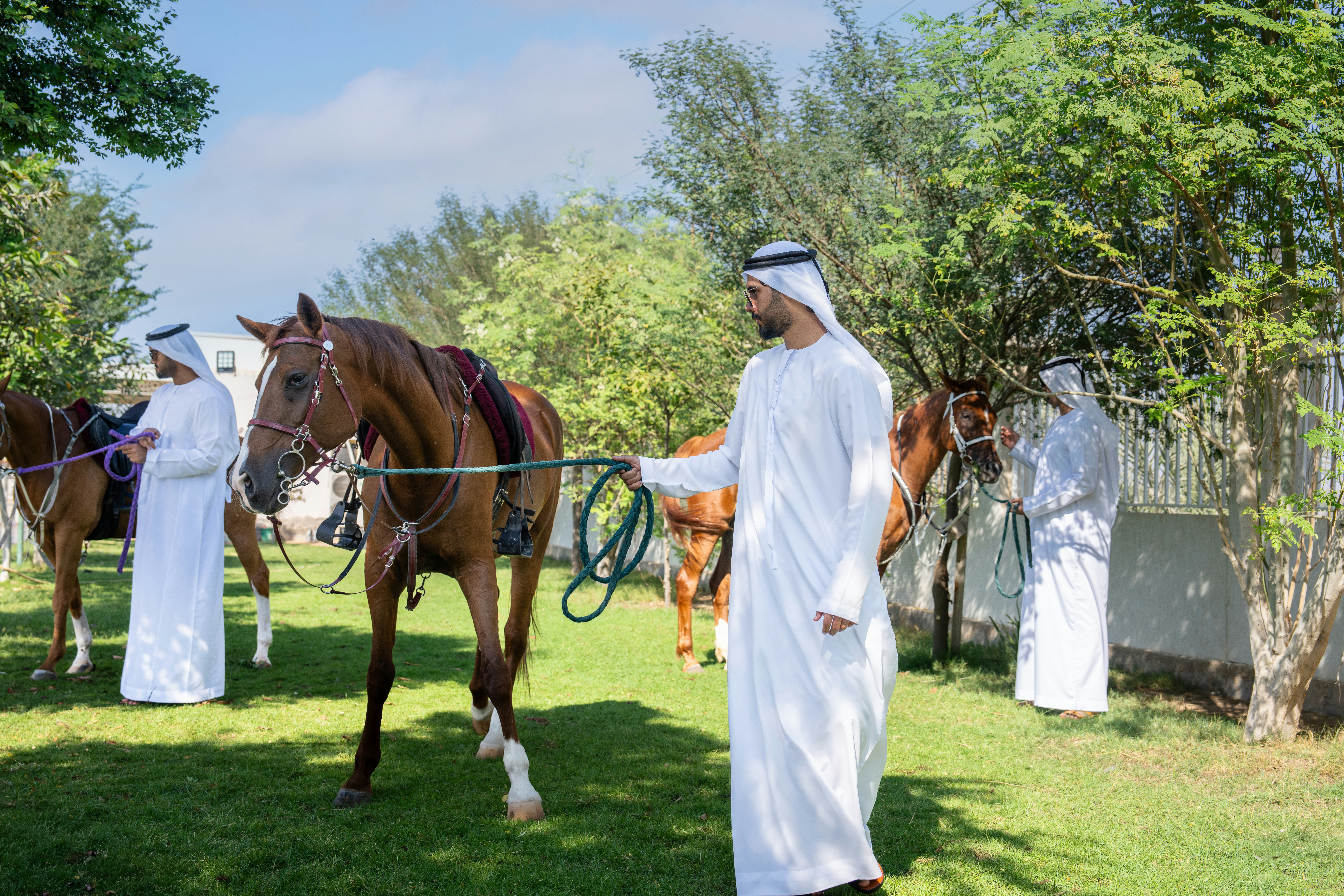 A man standing next to a brown horse on a lush green field