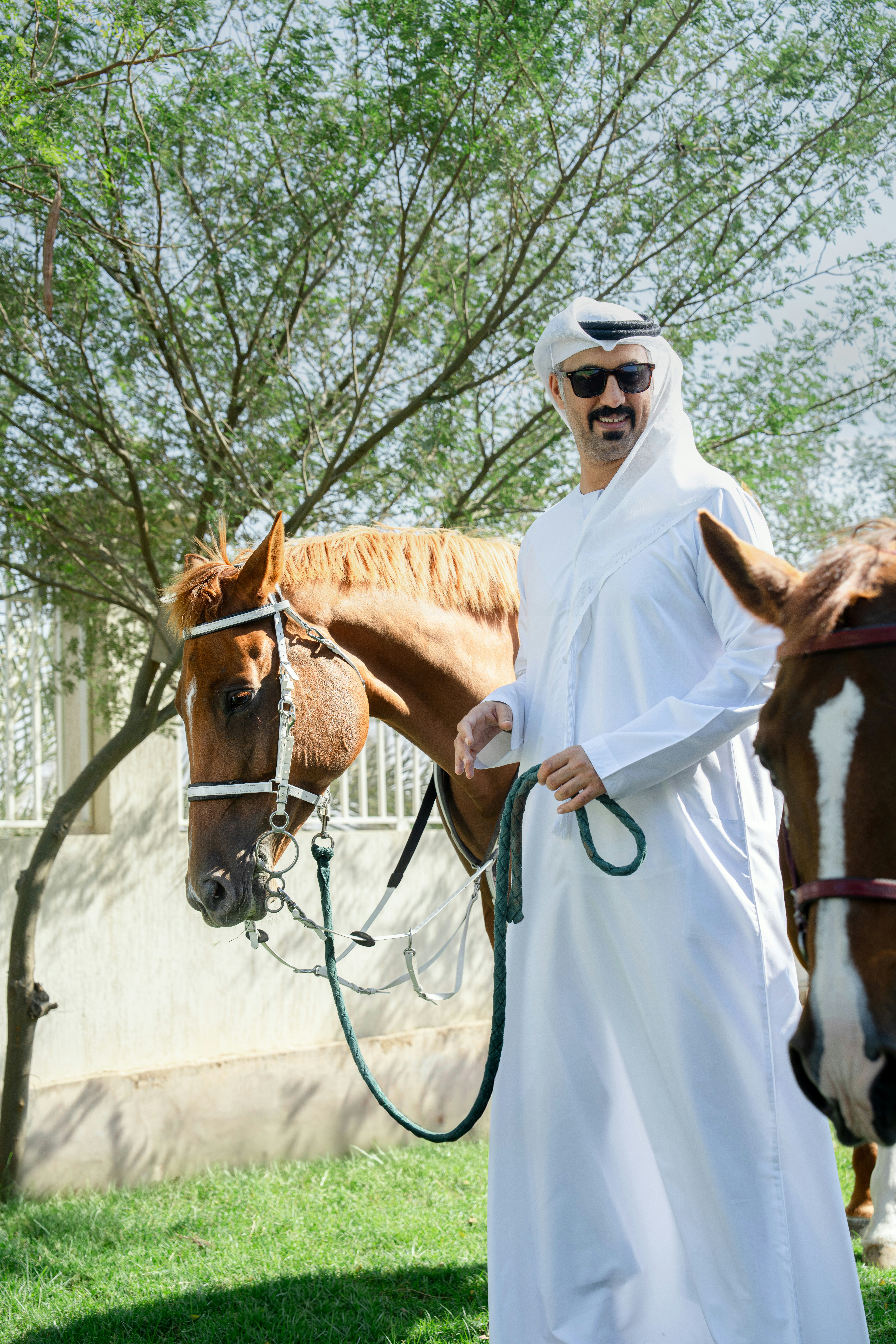 A man standing next to a horse on a lush green field