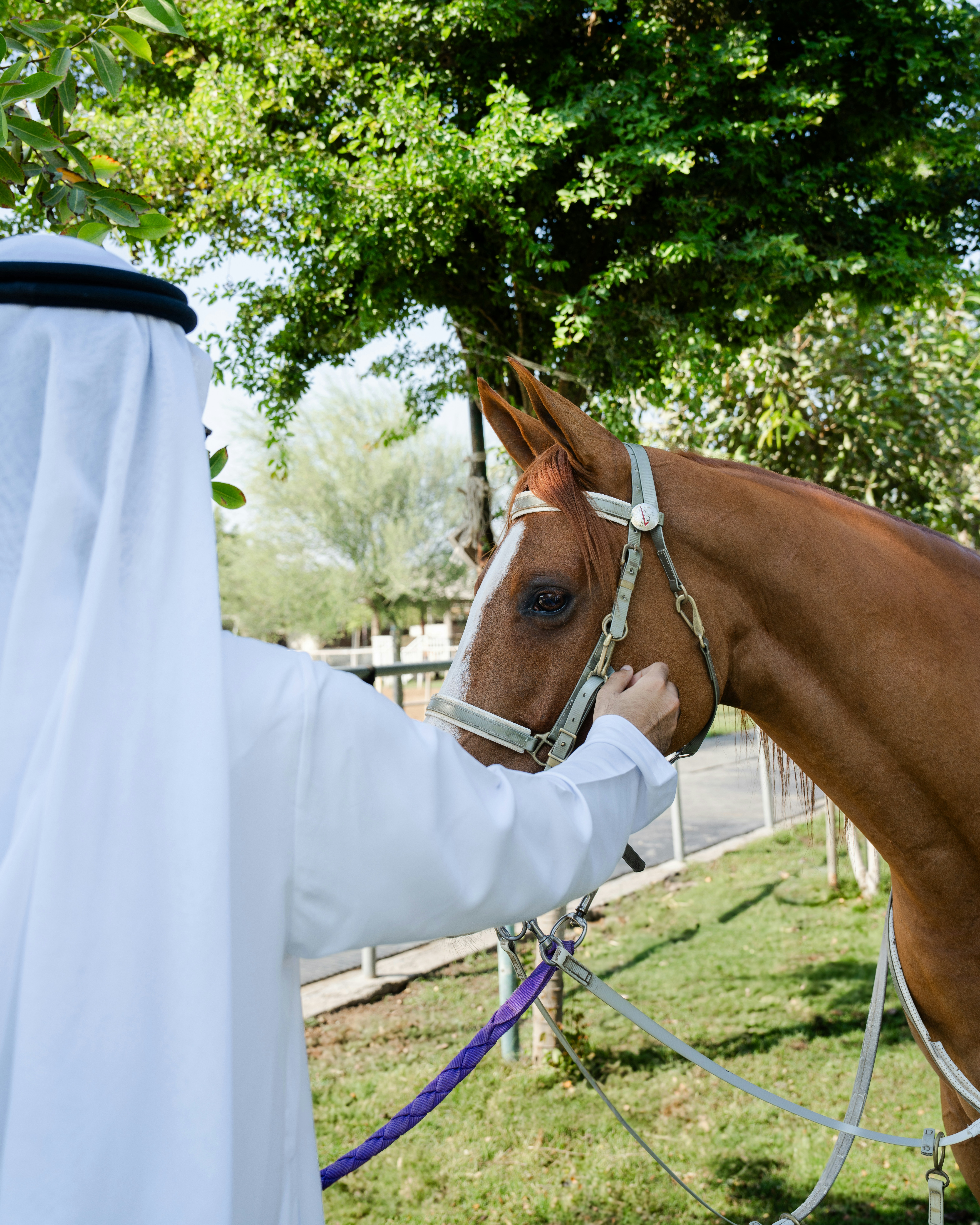 A man in a white robe petting a brown horse
