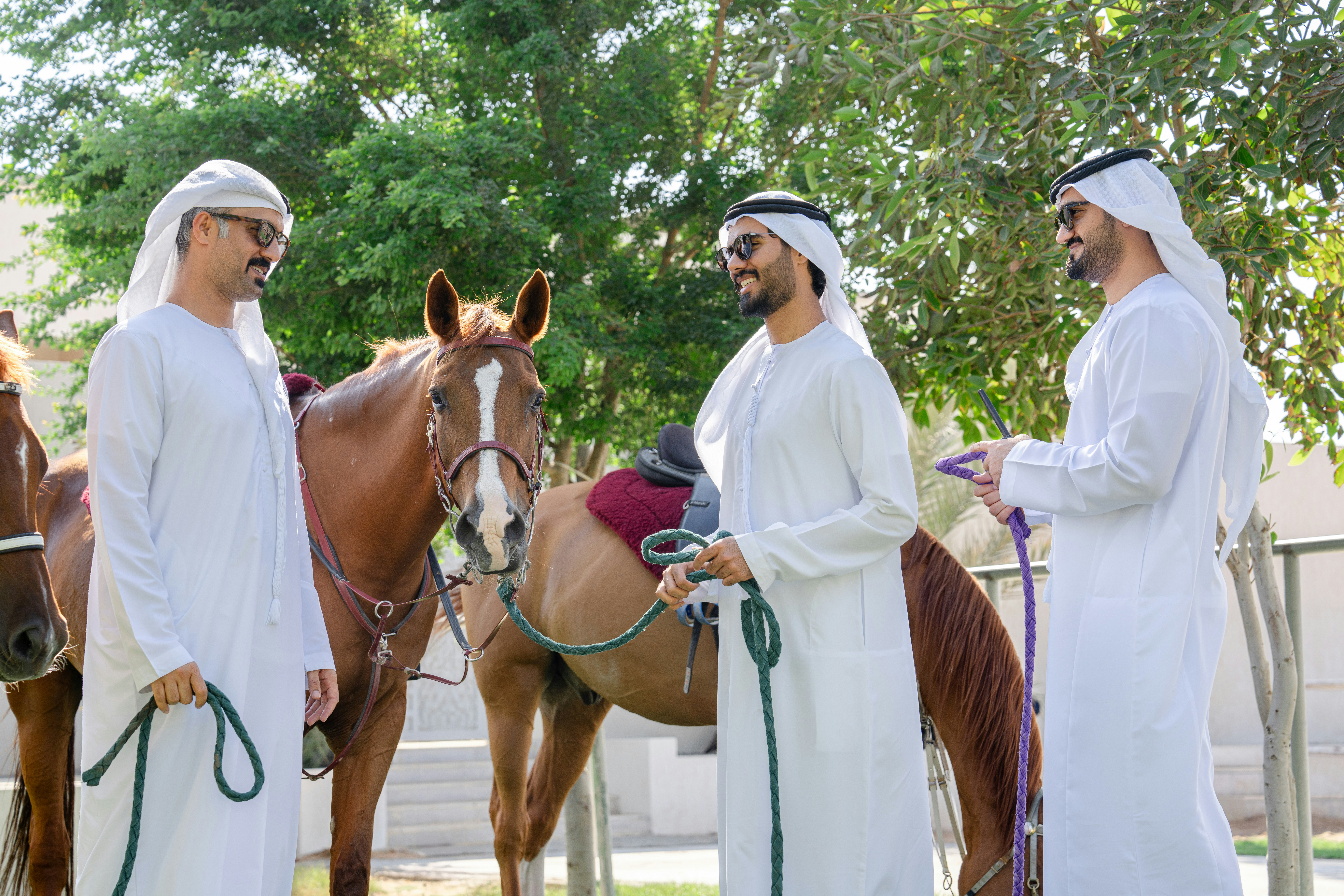 A group of men standing next to a brown horse