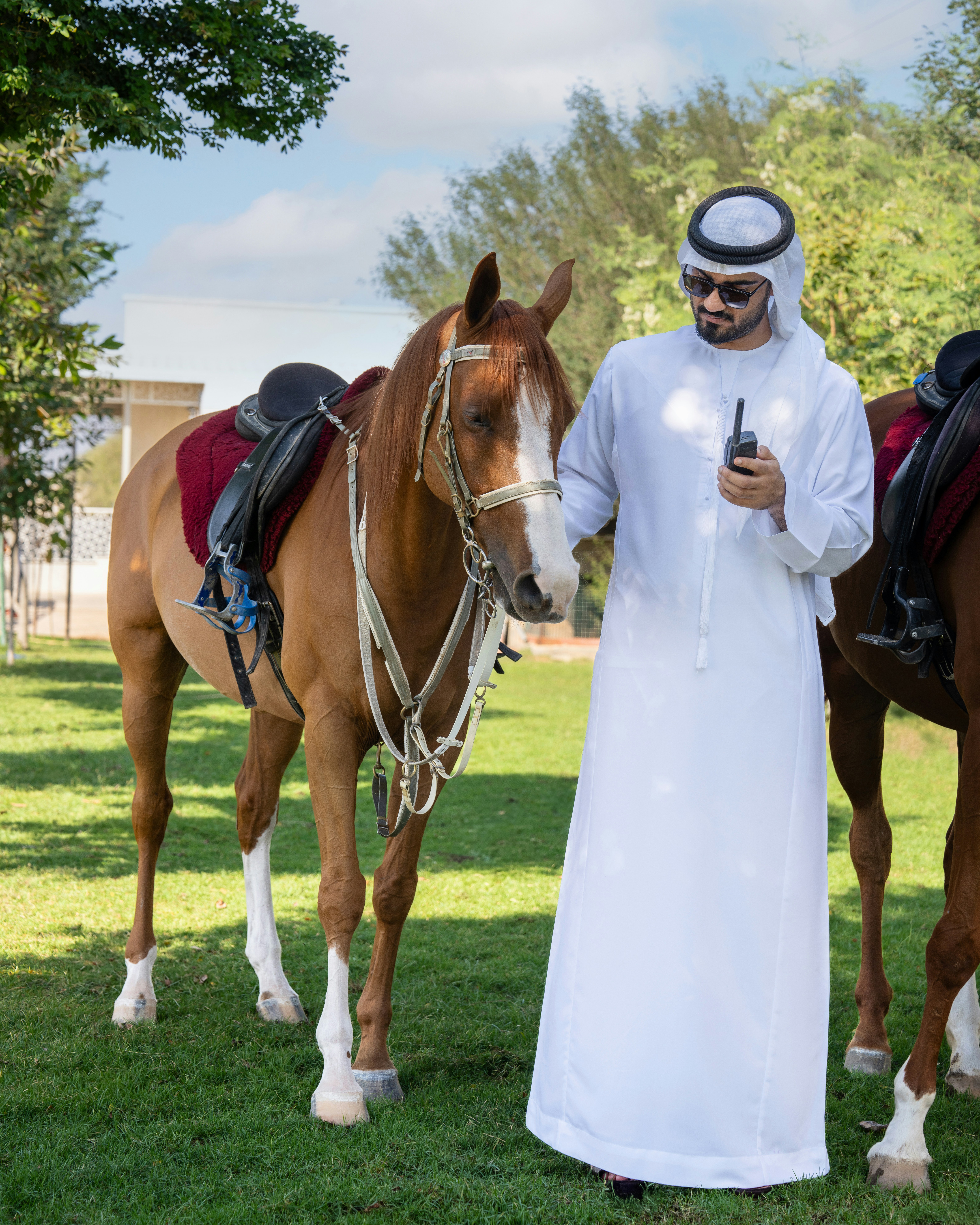 A man standing next to two horses in a field