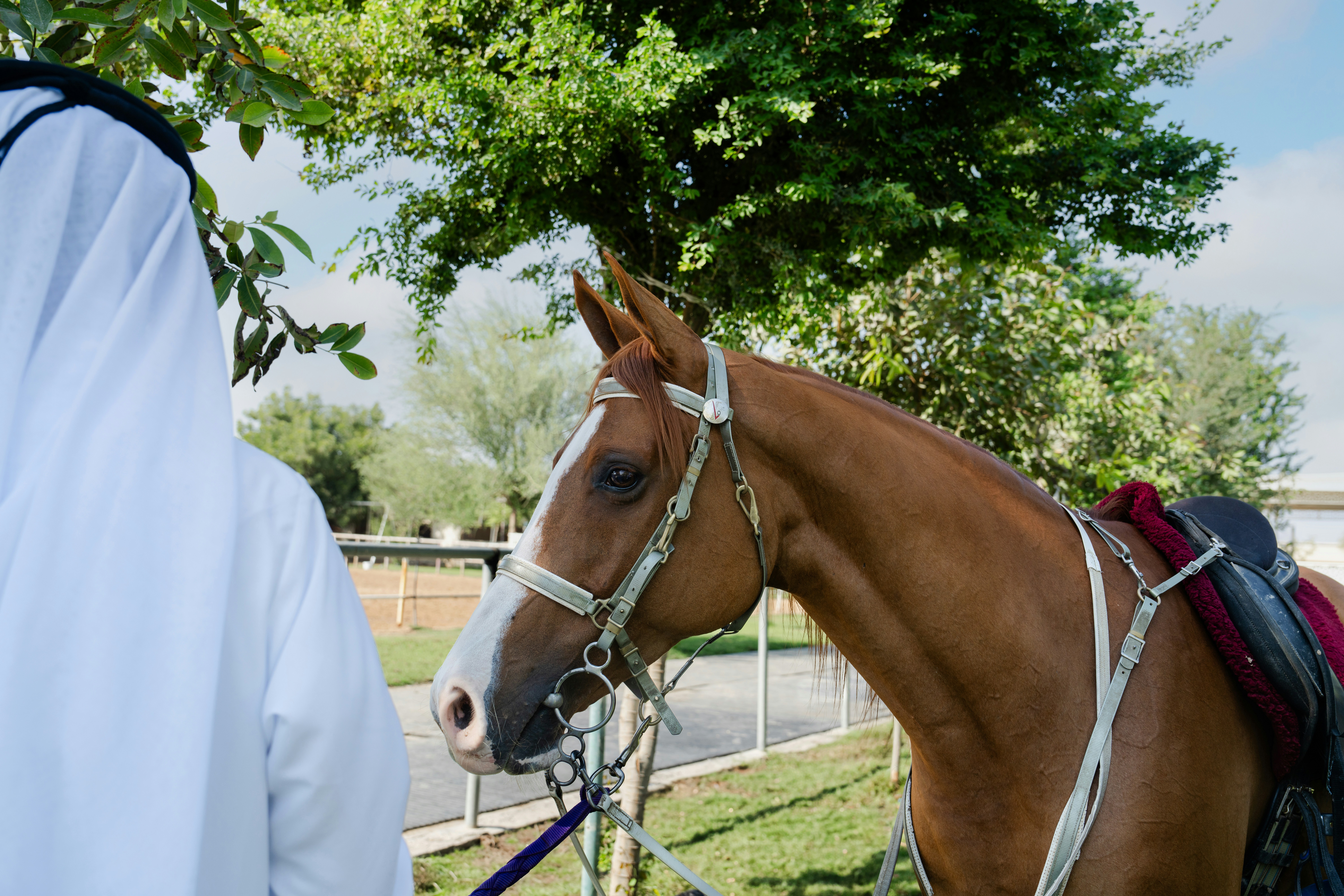 A man in a white robe standing next to a brown horse