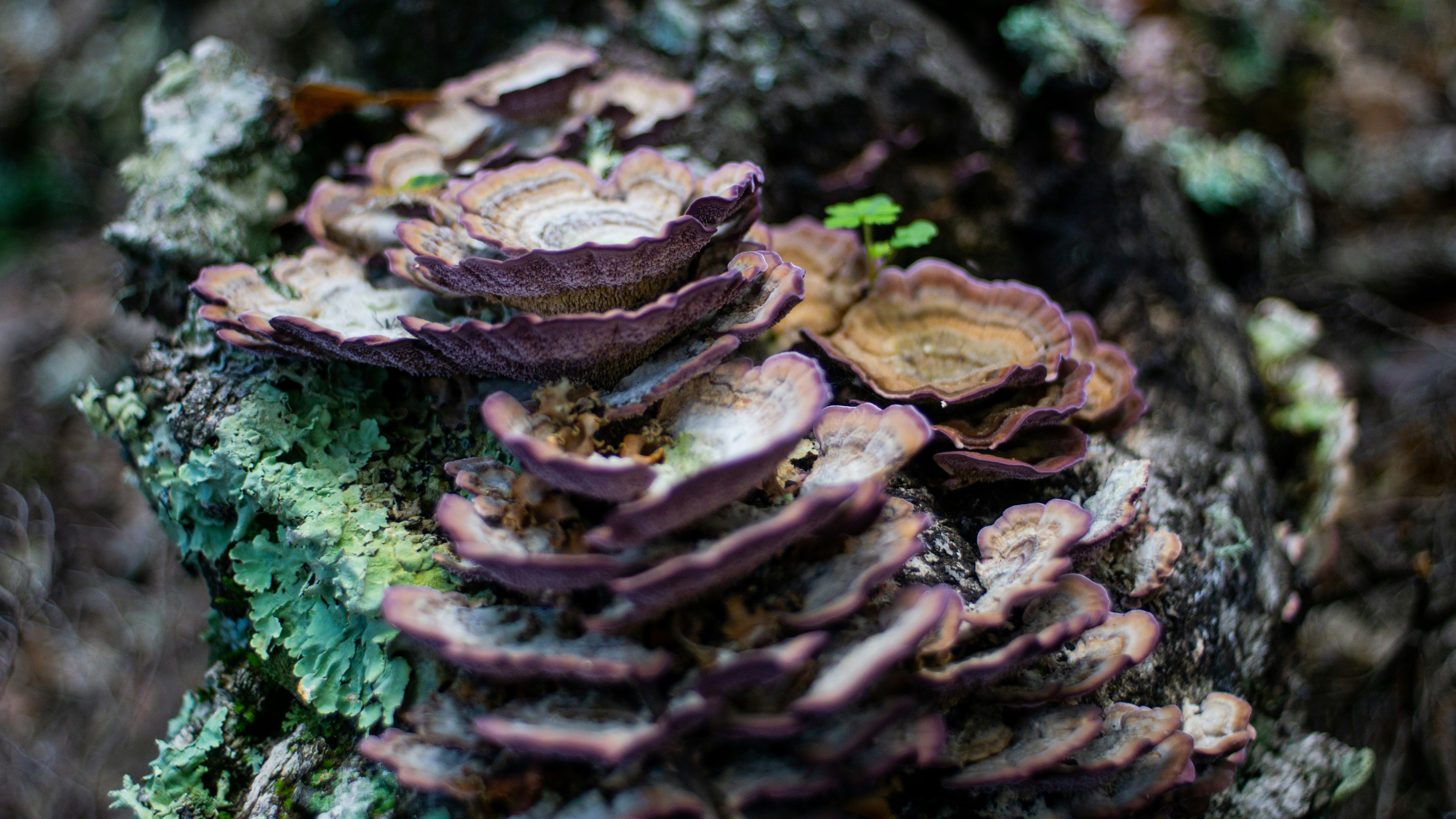 Photo by crashbilordlink