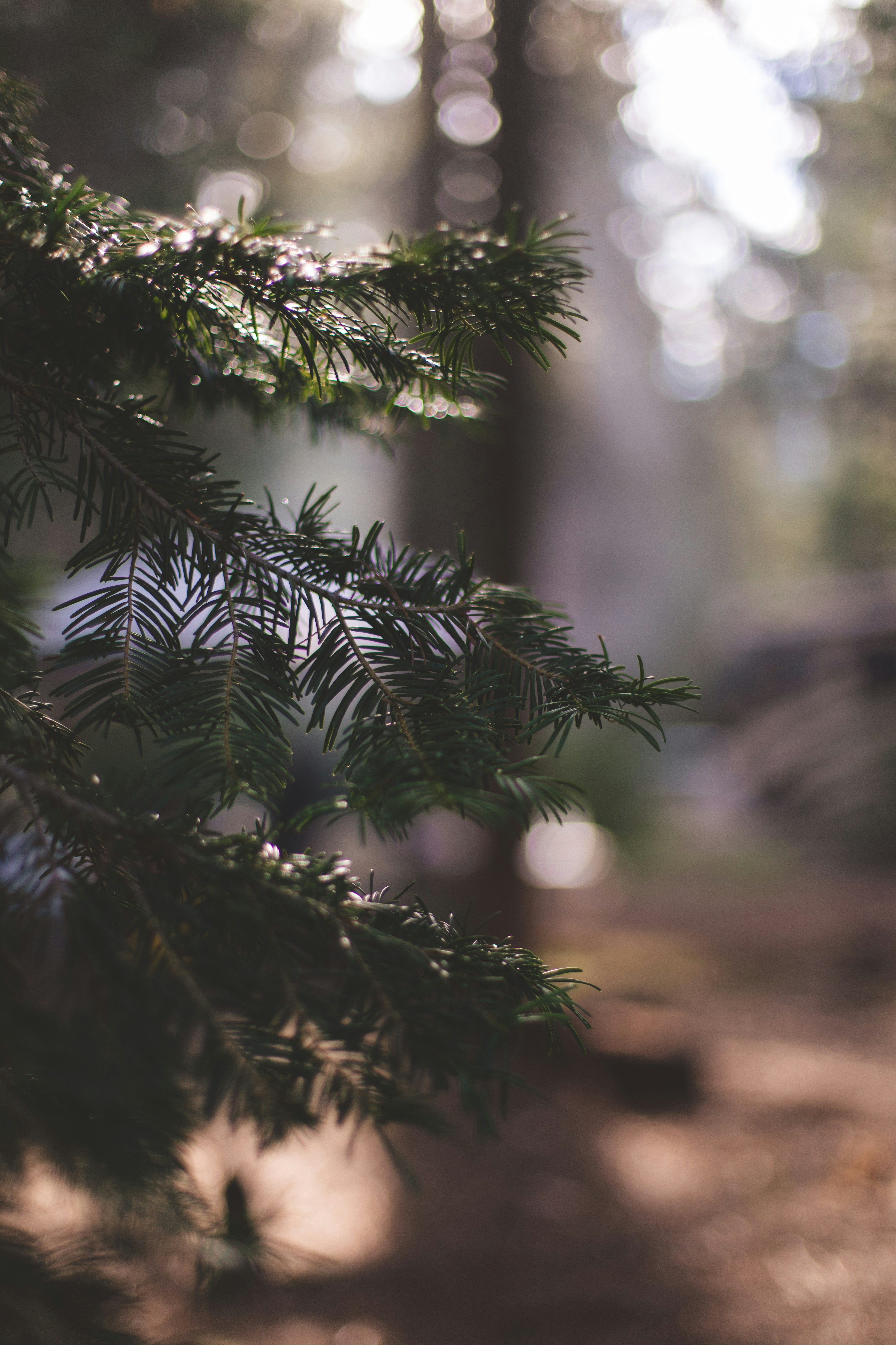 Photo by sixteenmilesout