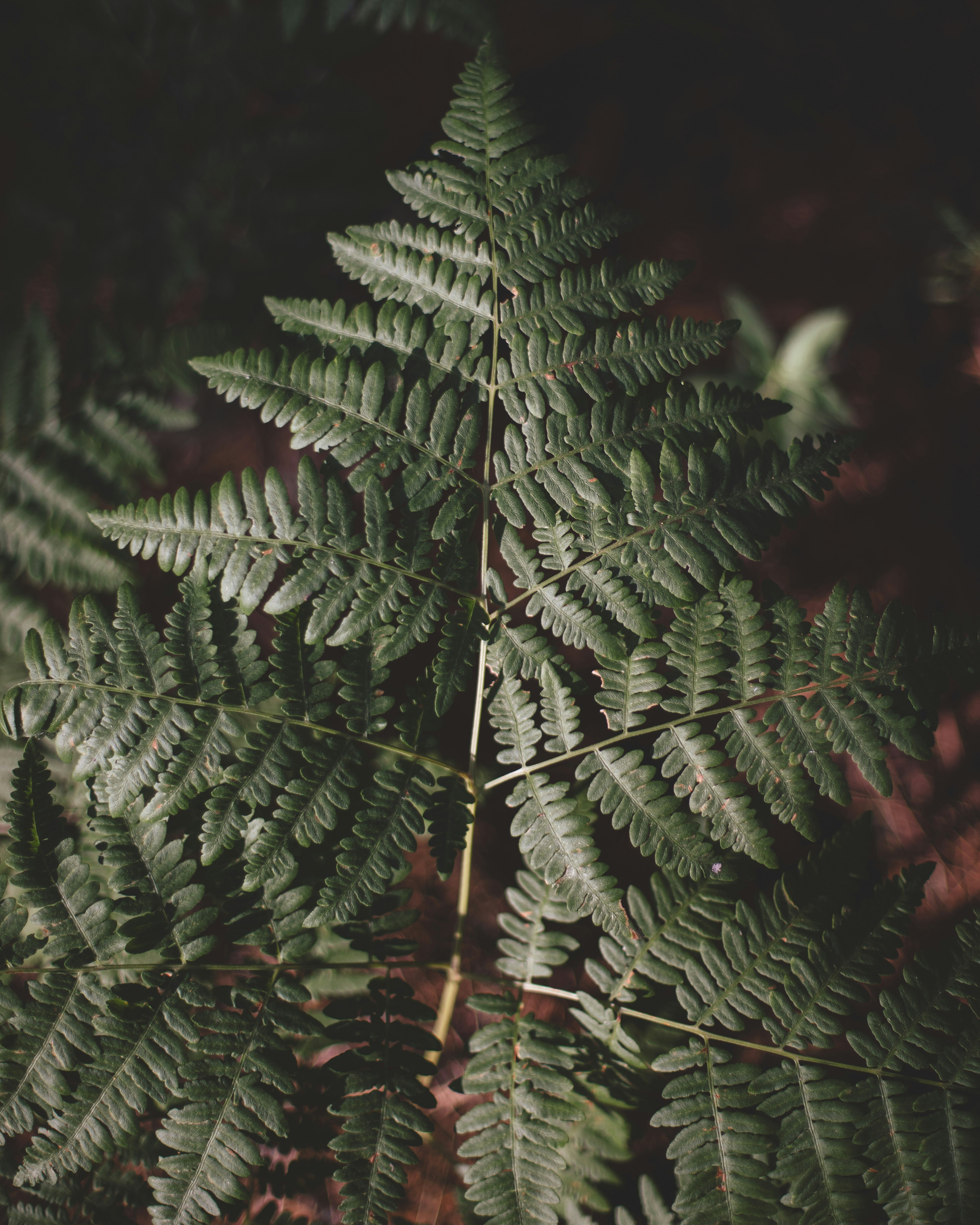 Photo by sixteenmilesout