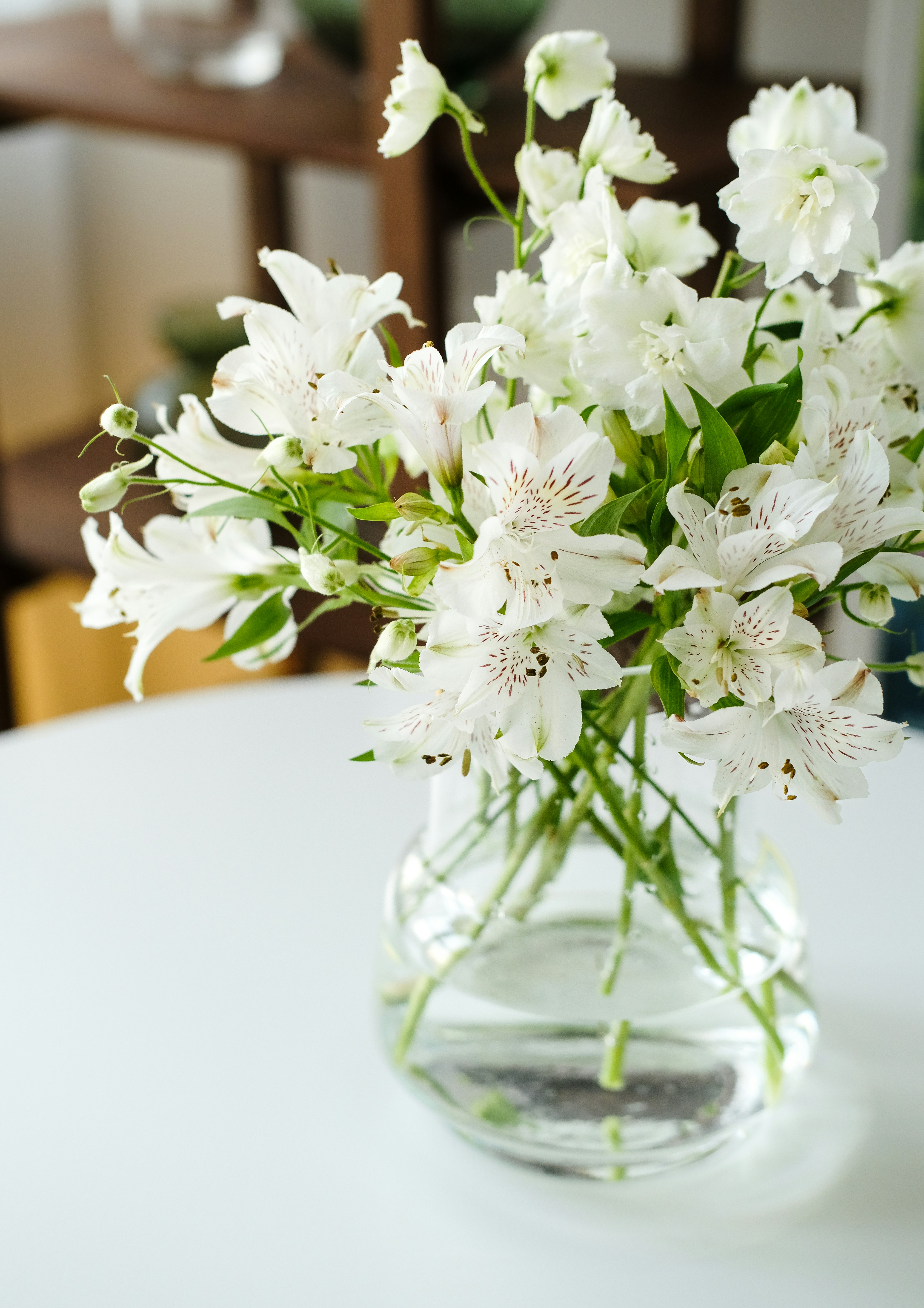 Photo by nganduong93