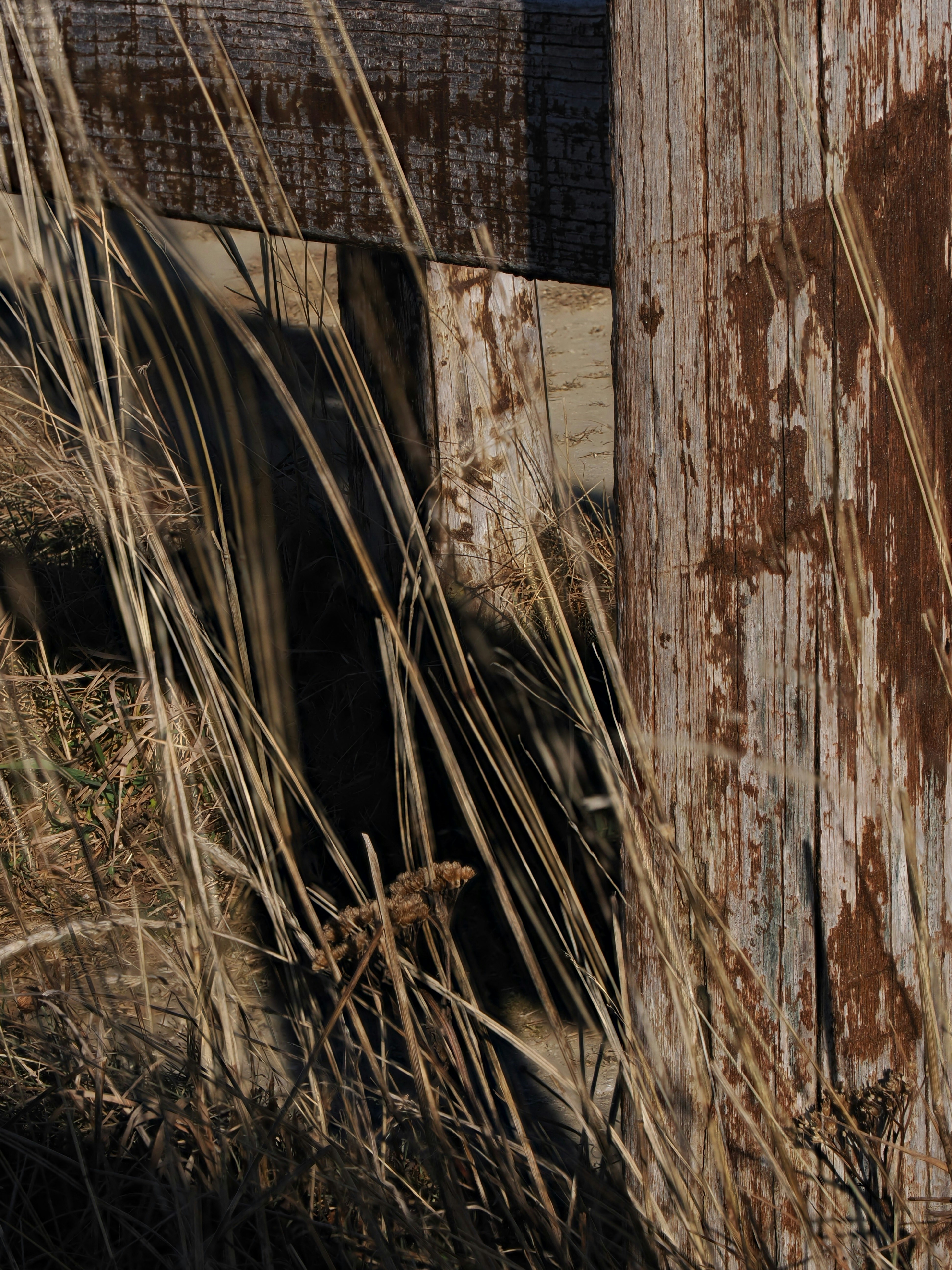 Photo by gopitri_prem