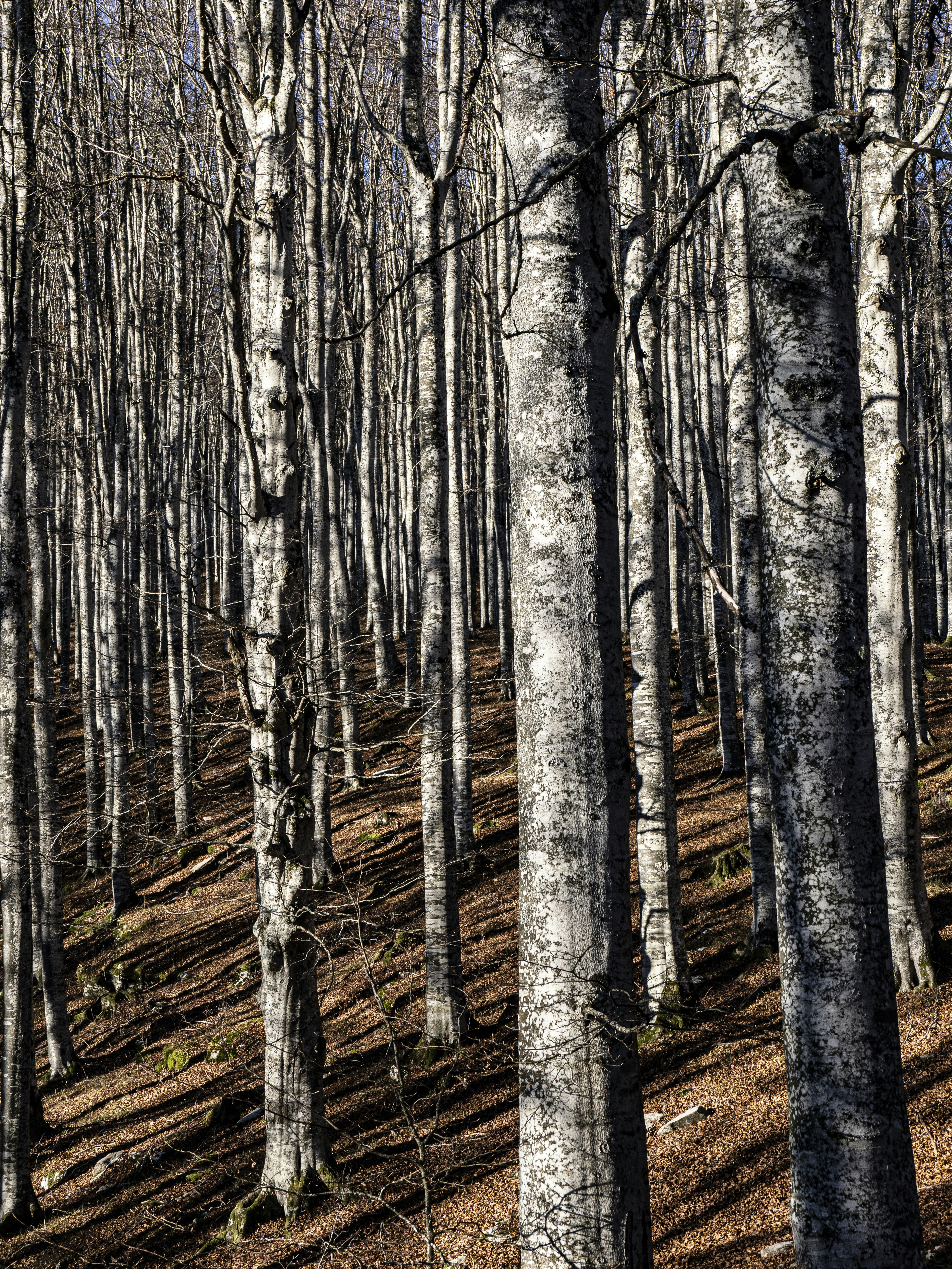 Photo by gopitri_prem