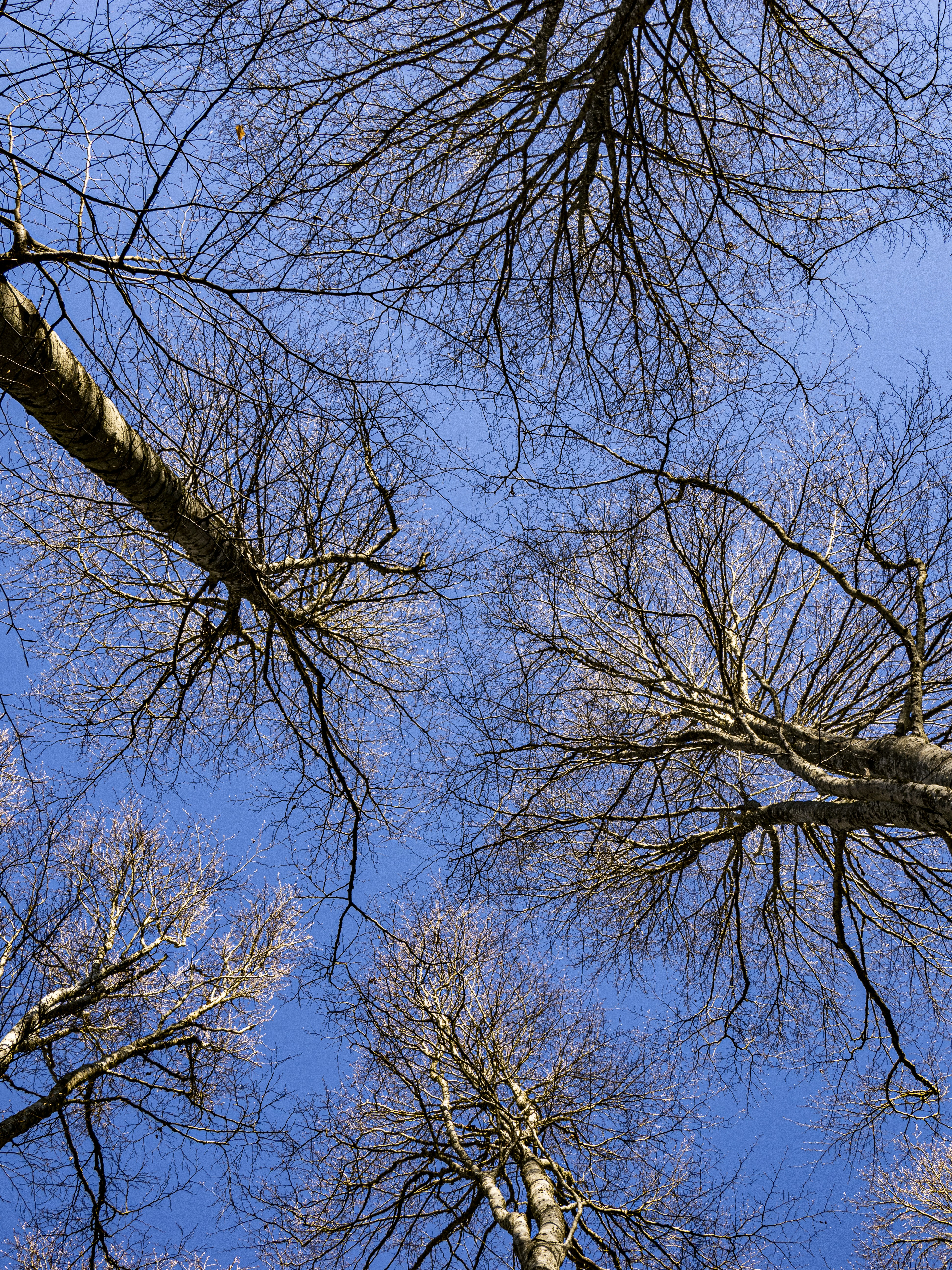 Photo by gopitri_prem