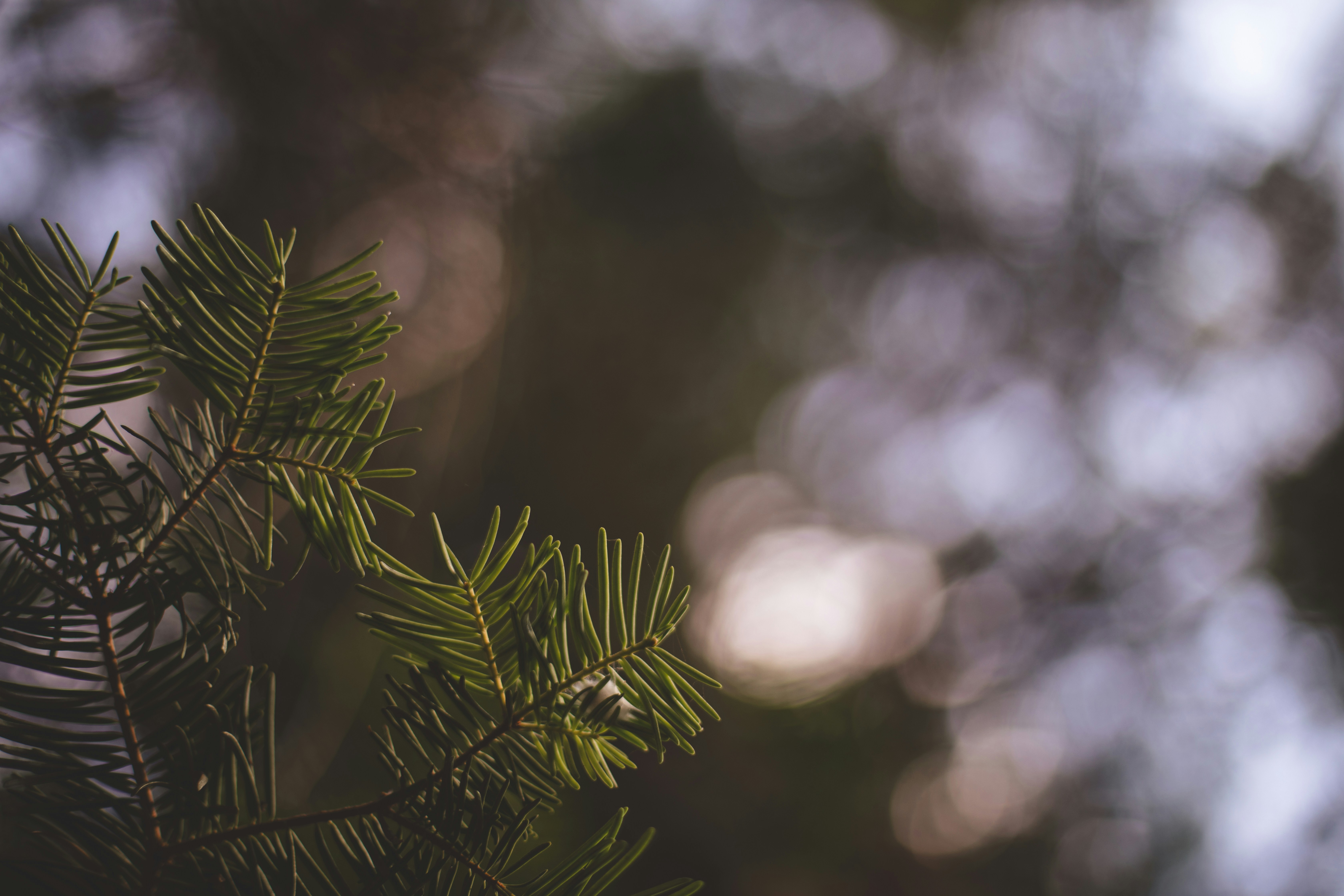 Photo by sixteenmilesout