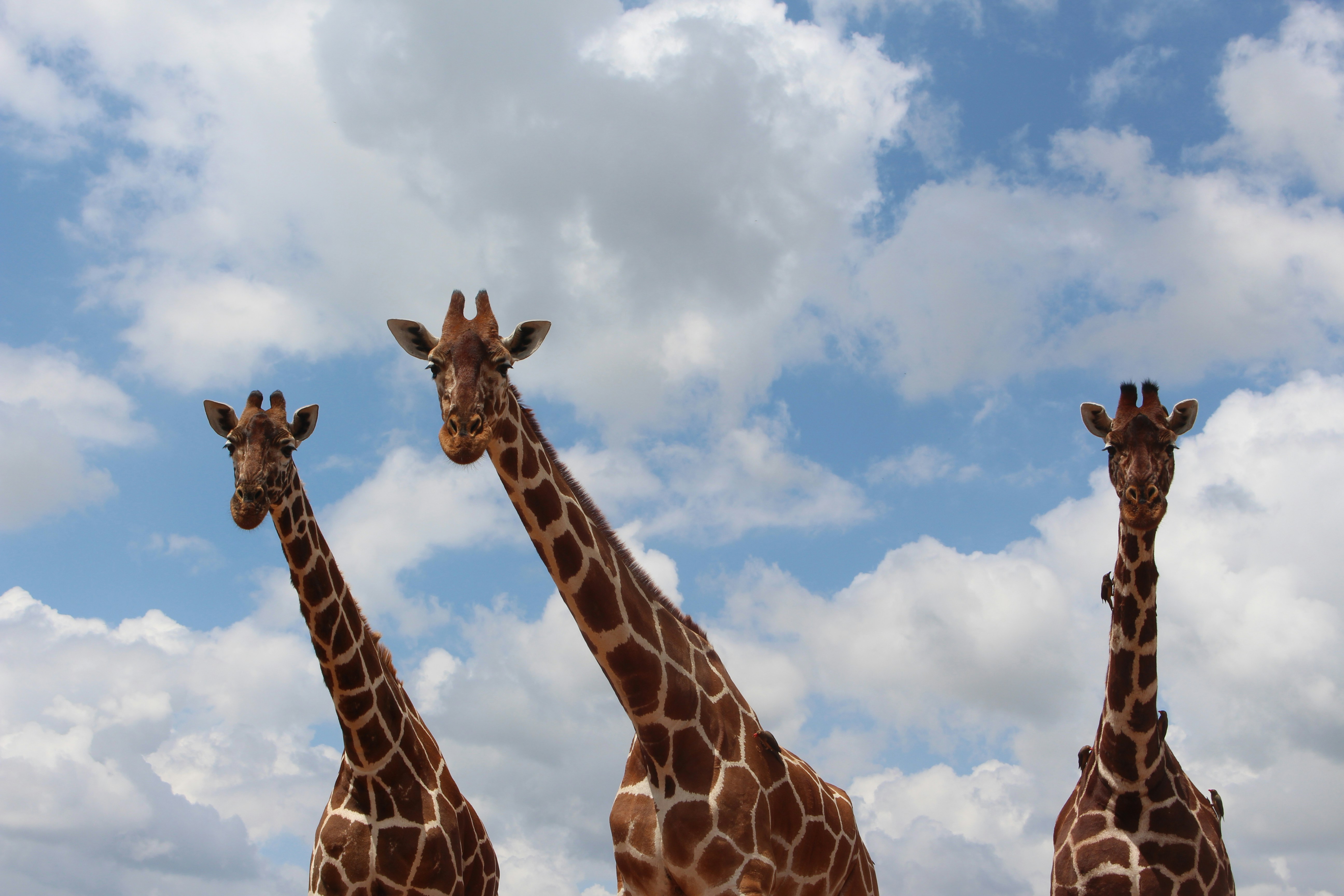 Photo by alexanderfeil