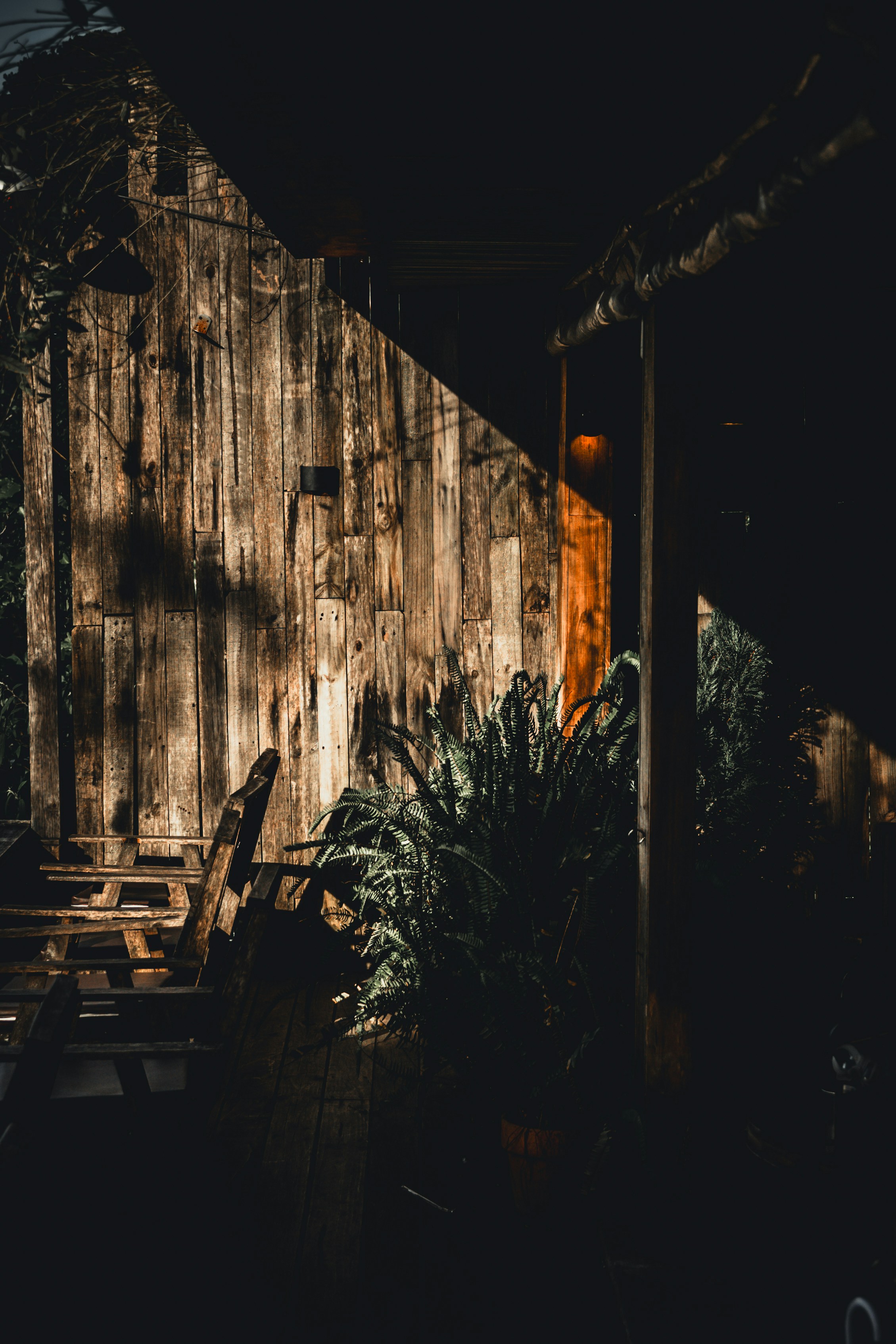 Photo by jordannguyen