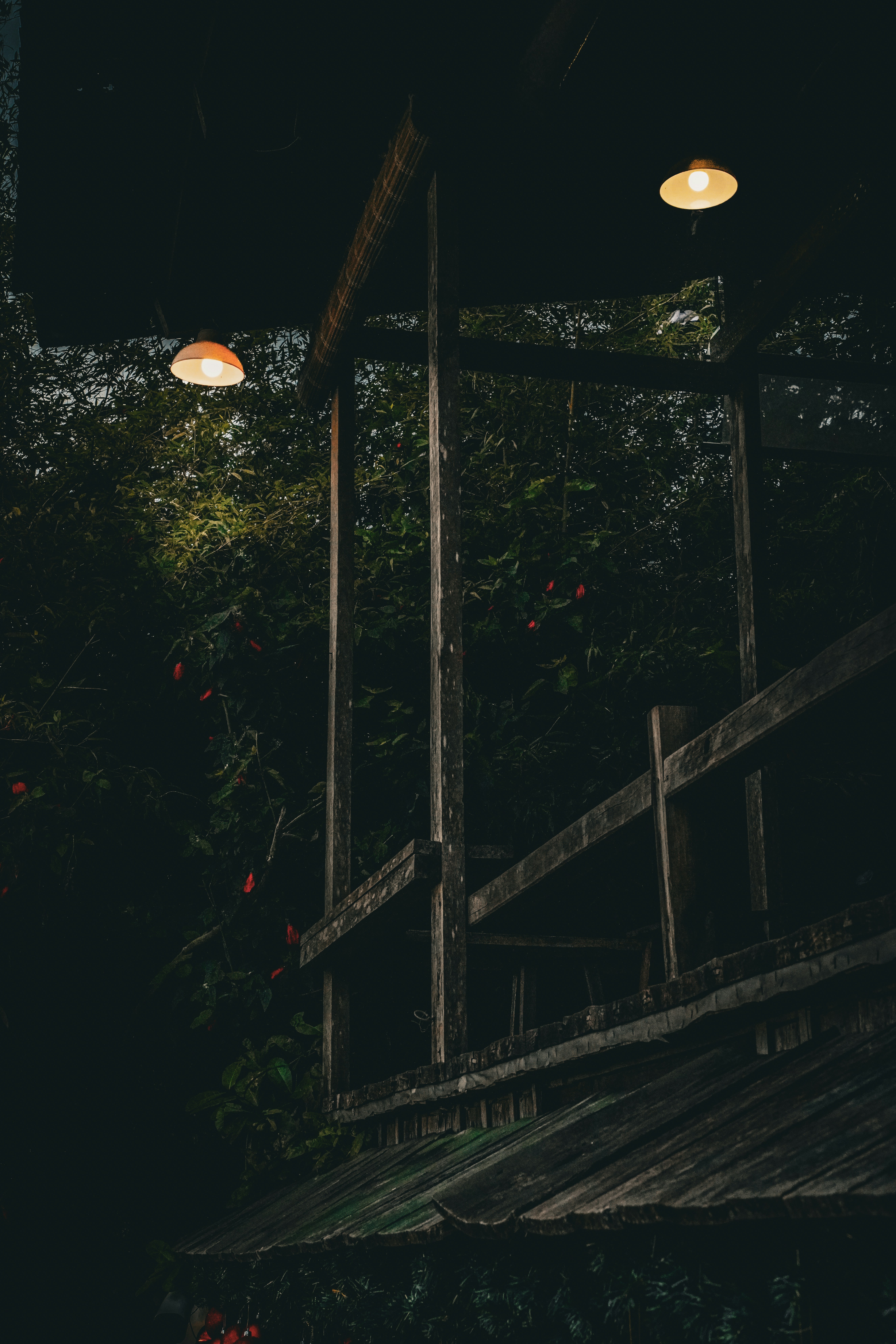 Photo by jordannguyen