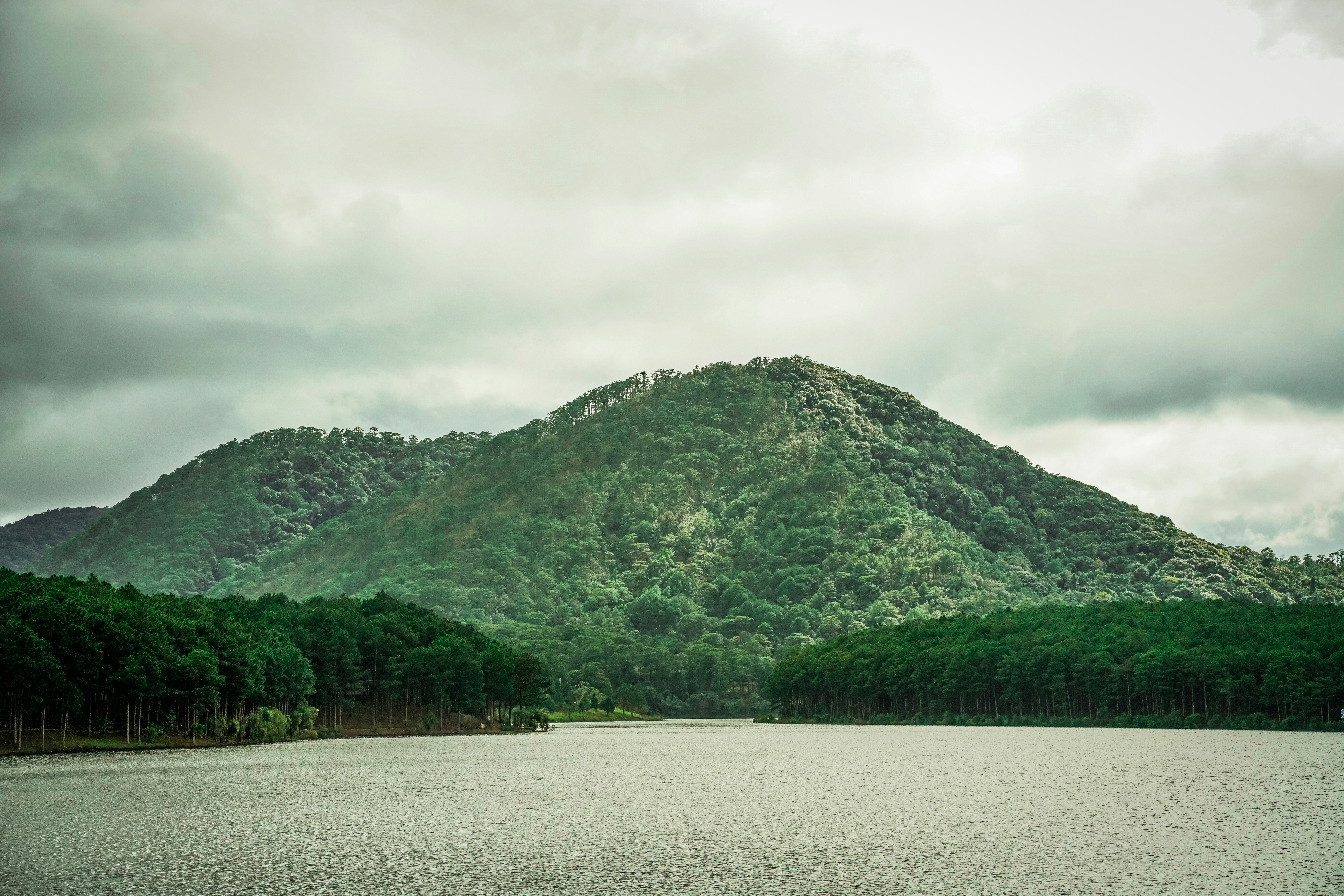 Photo by jordannguyen