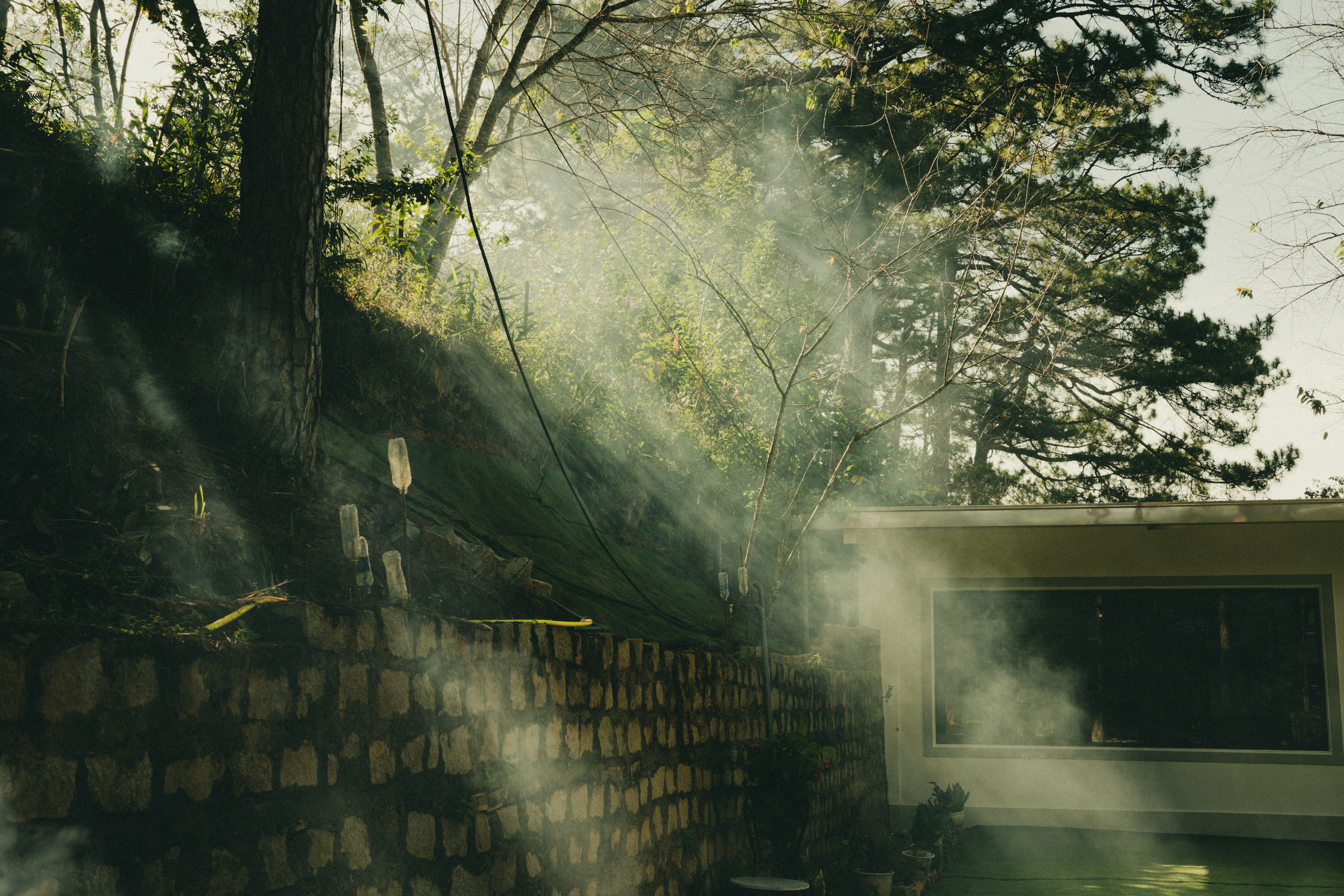 Photo by jordannguyen