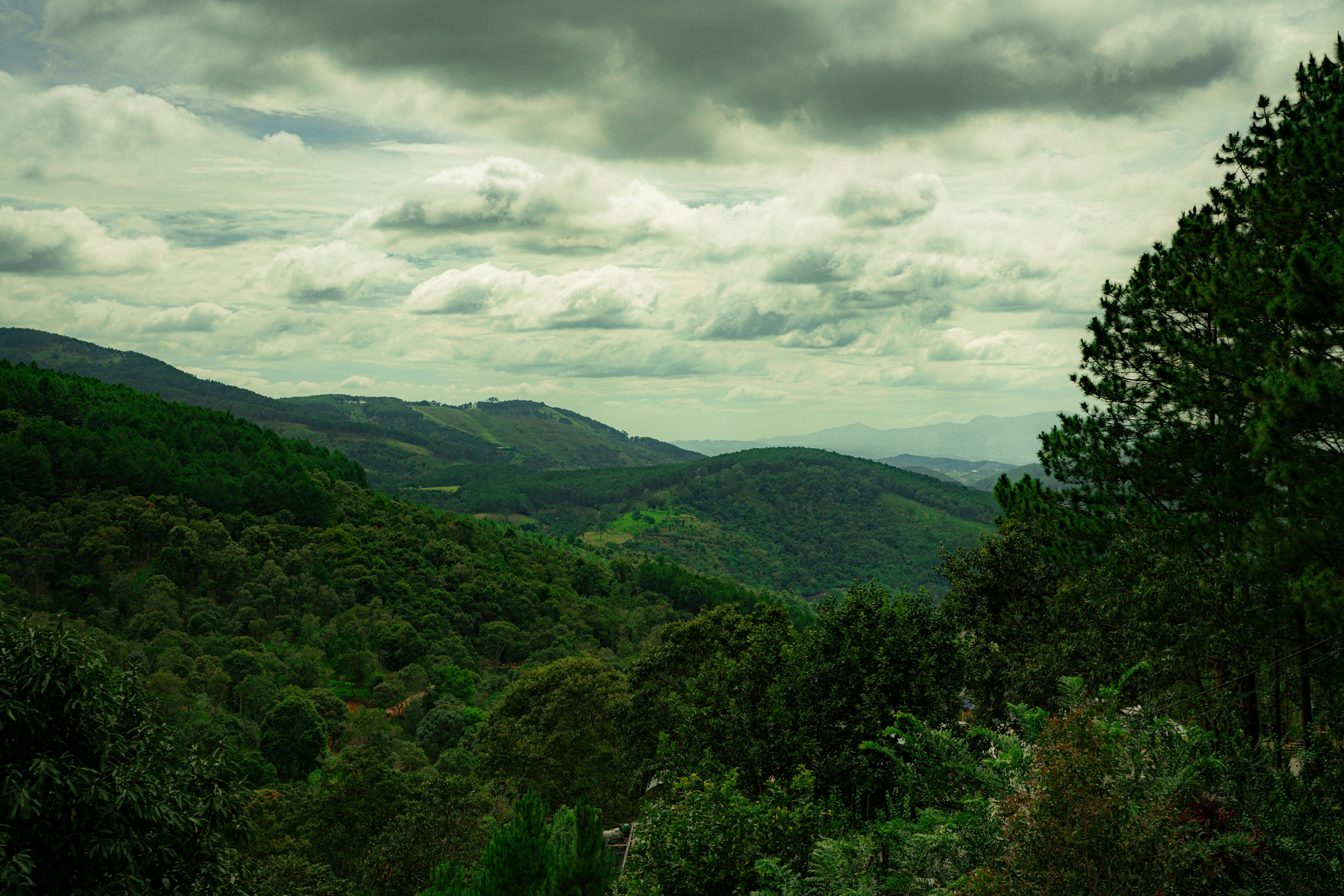 Photo by jordannguyen