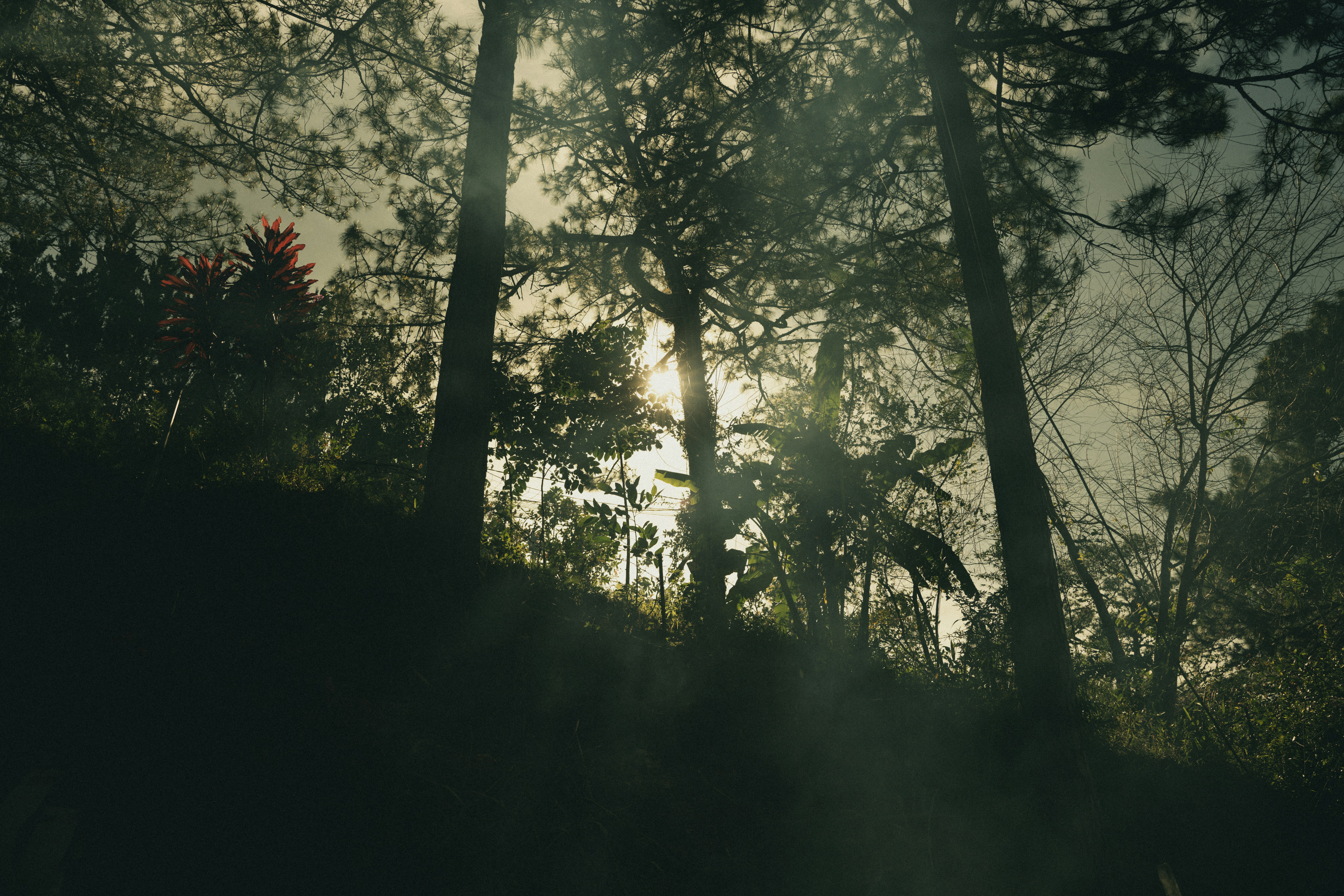 Photo by jordannguyen