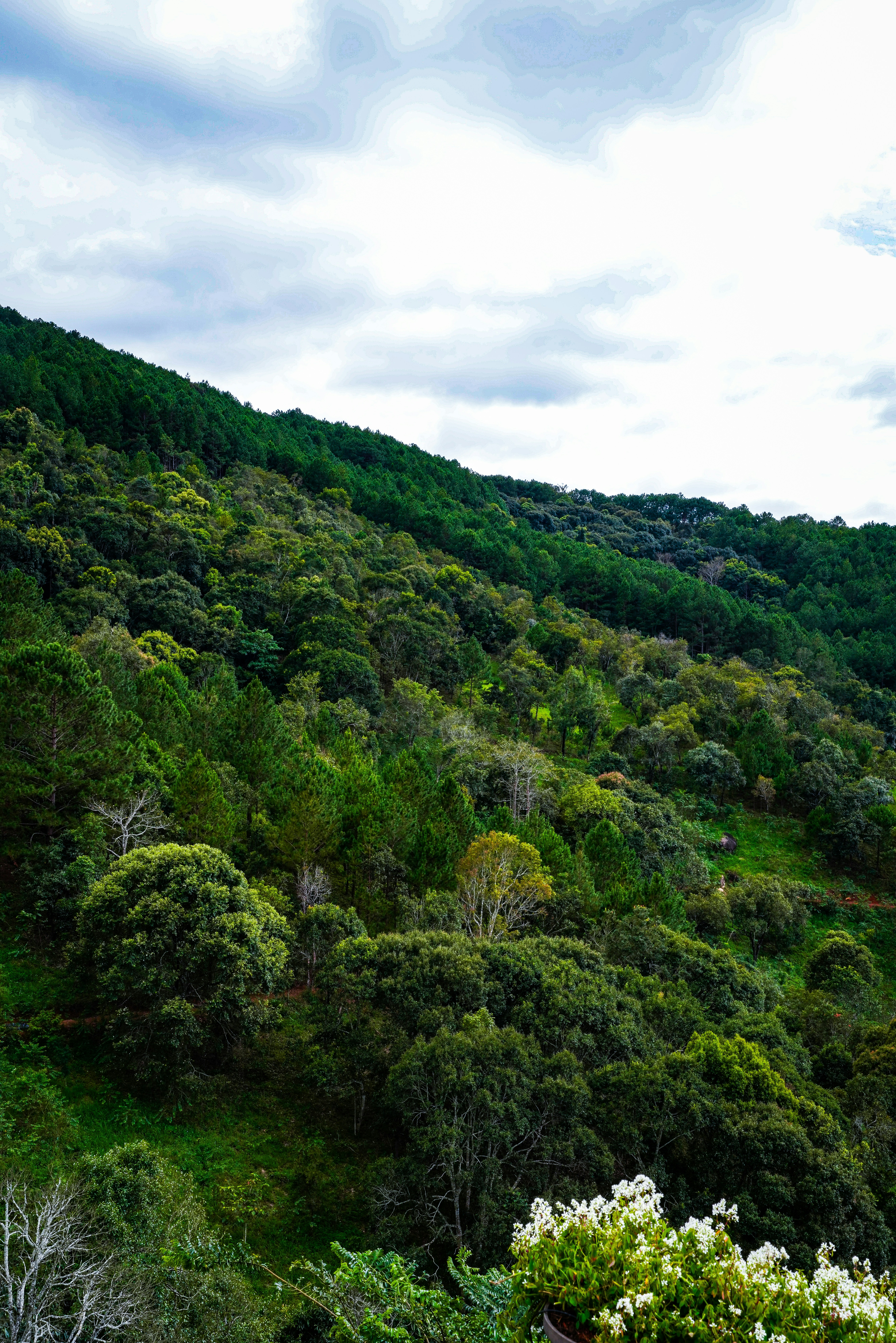 Photo by jordannguyen