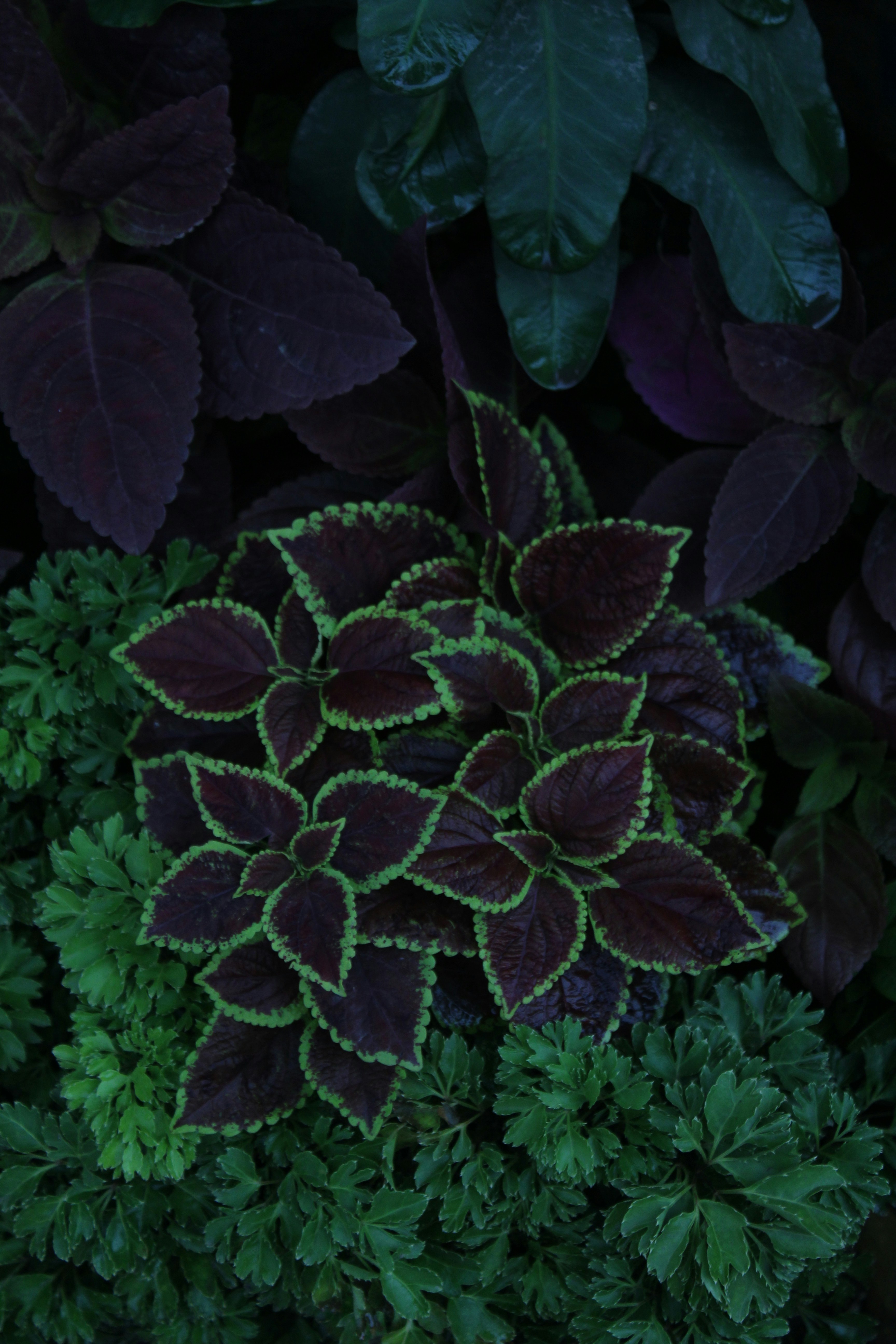 Photo by _afifajannat_