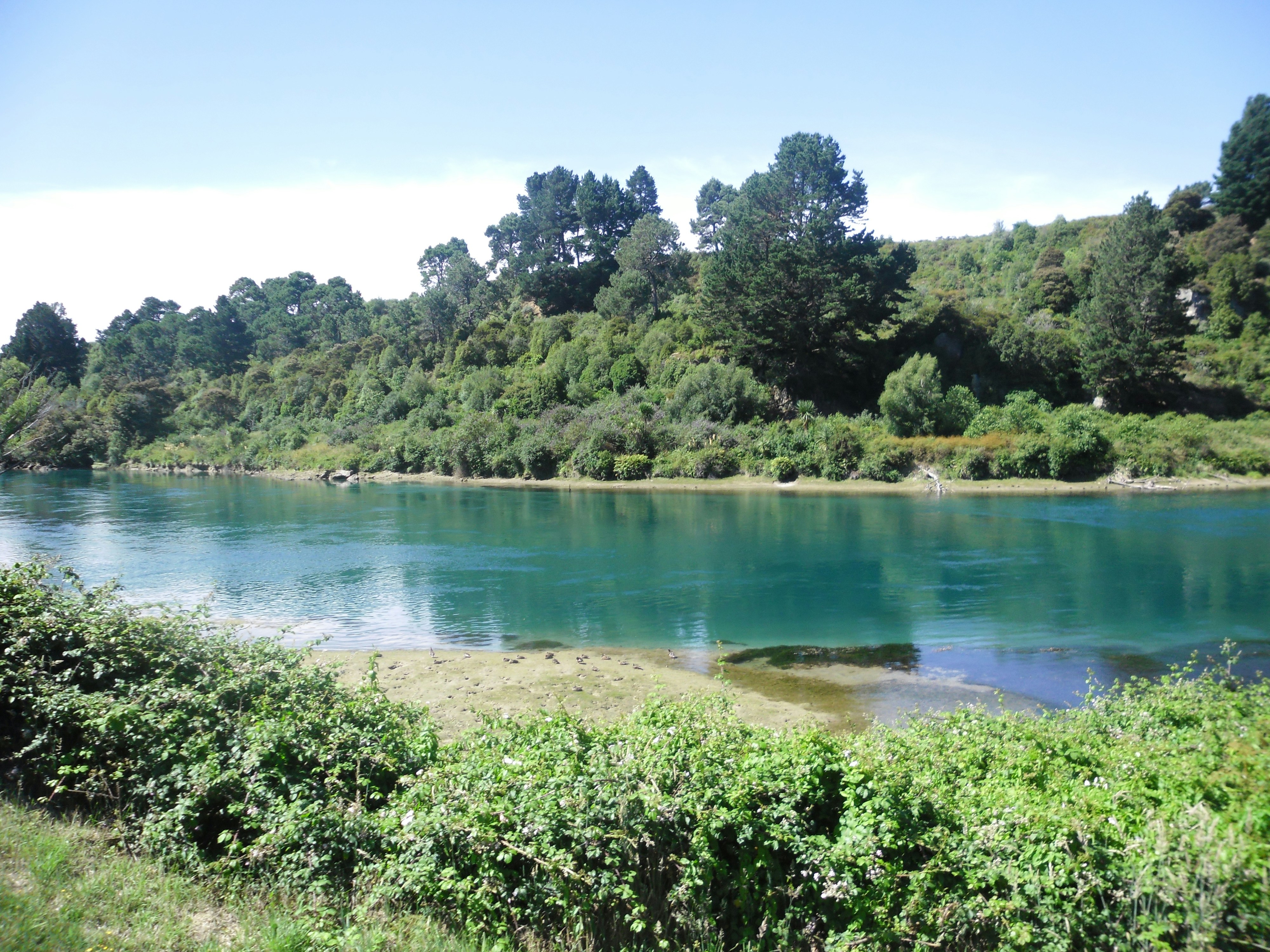 A large body of water surrounded by trees