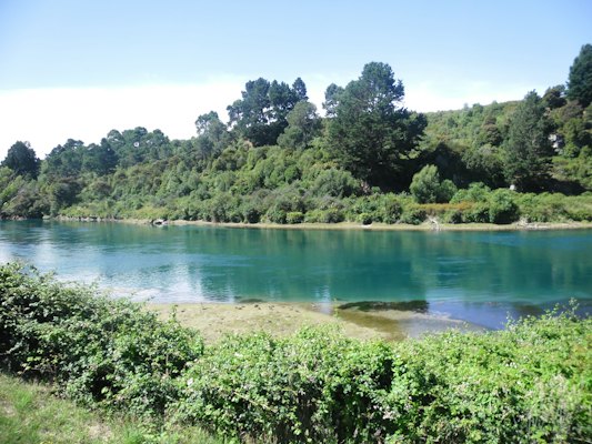 A large body of water surrounded by trees — Rotorua, New Zealand