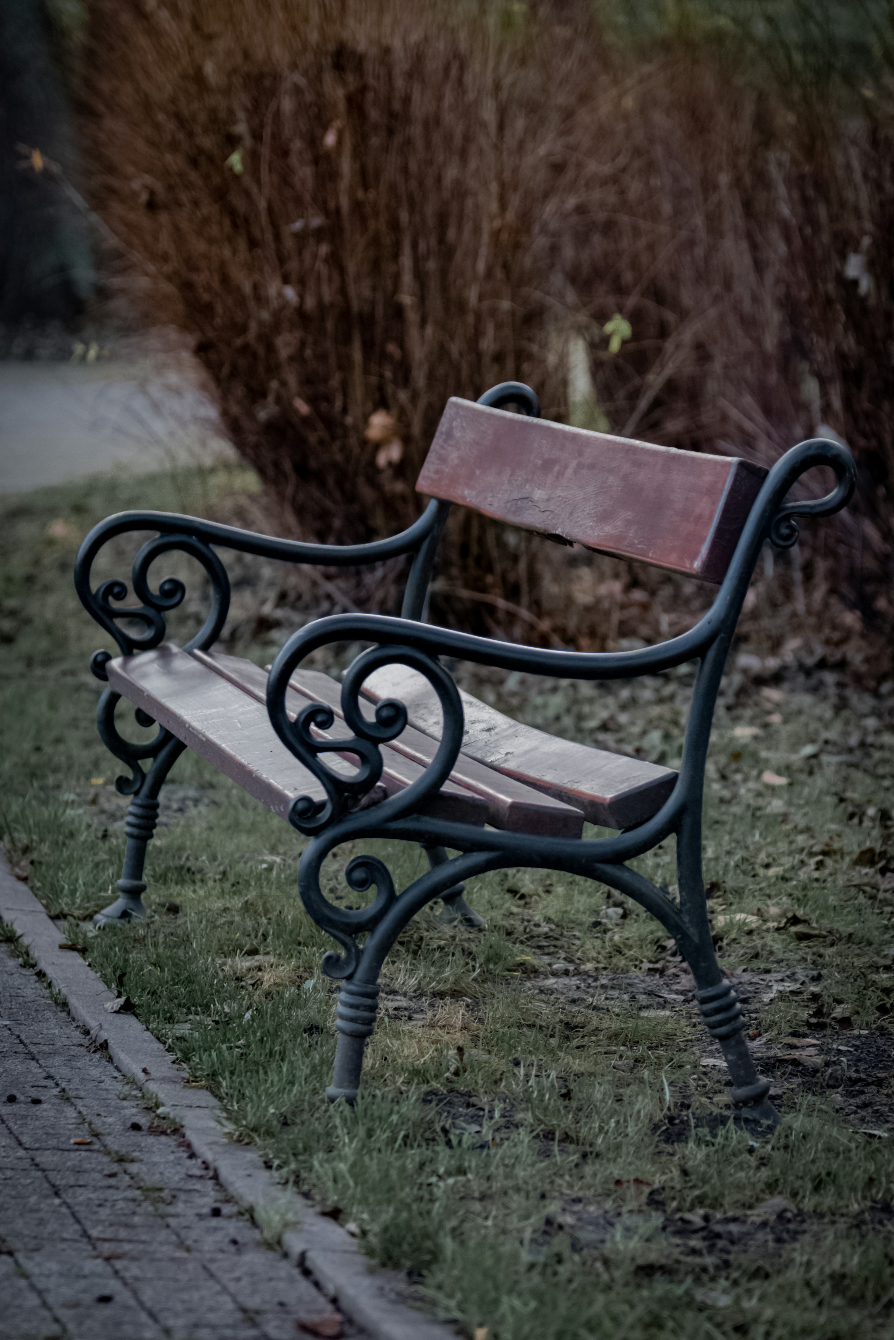 Photo by malwinanogaj