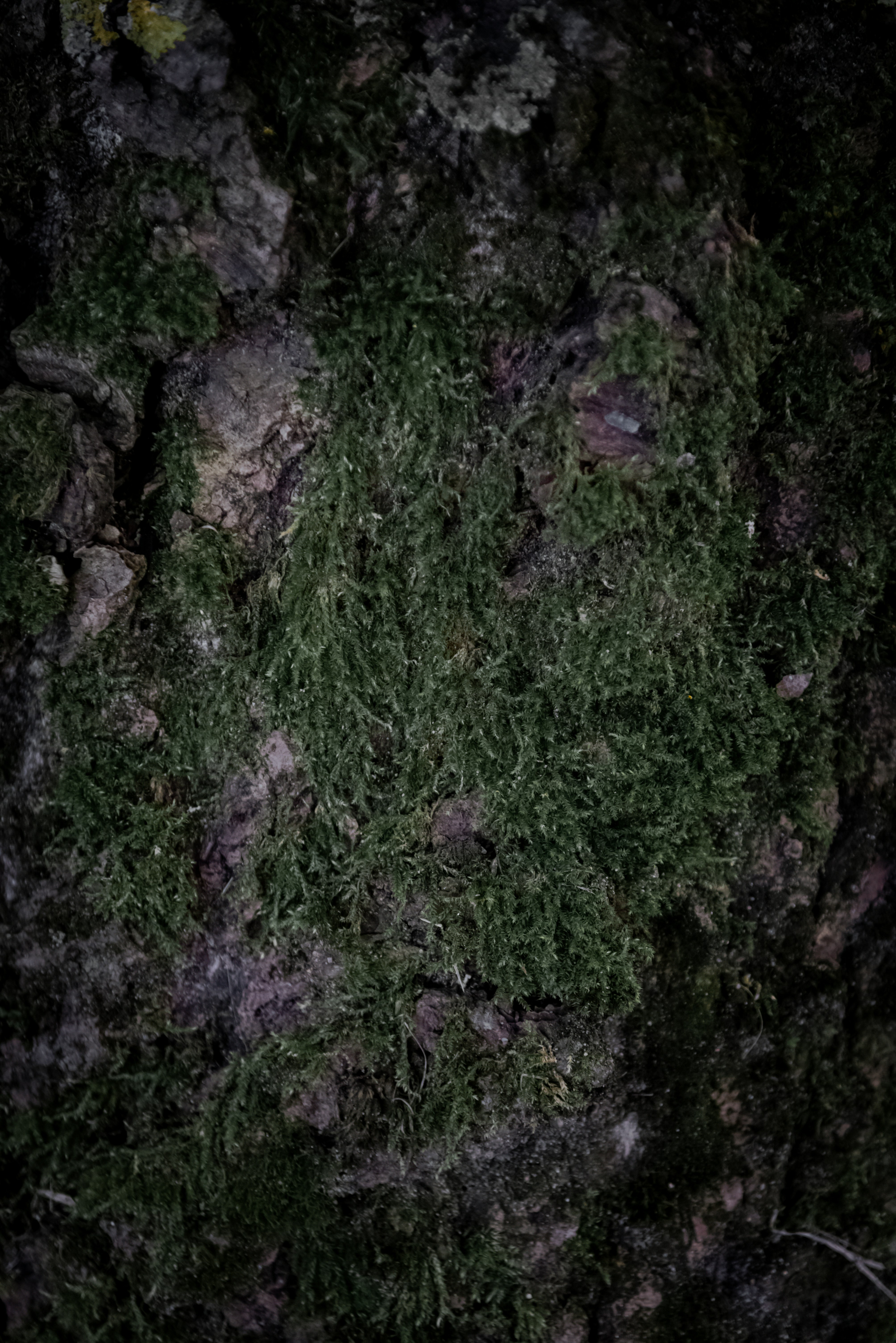 Photo by malwinanogaj