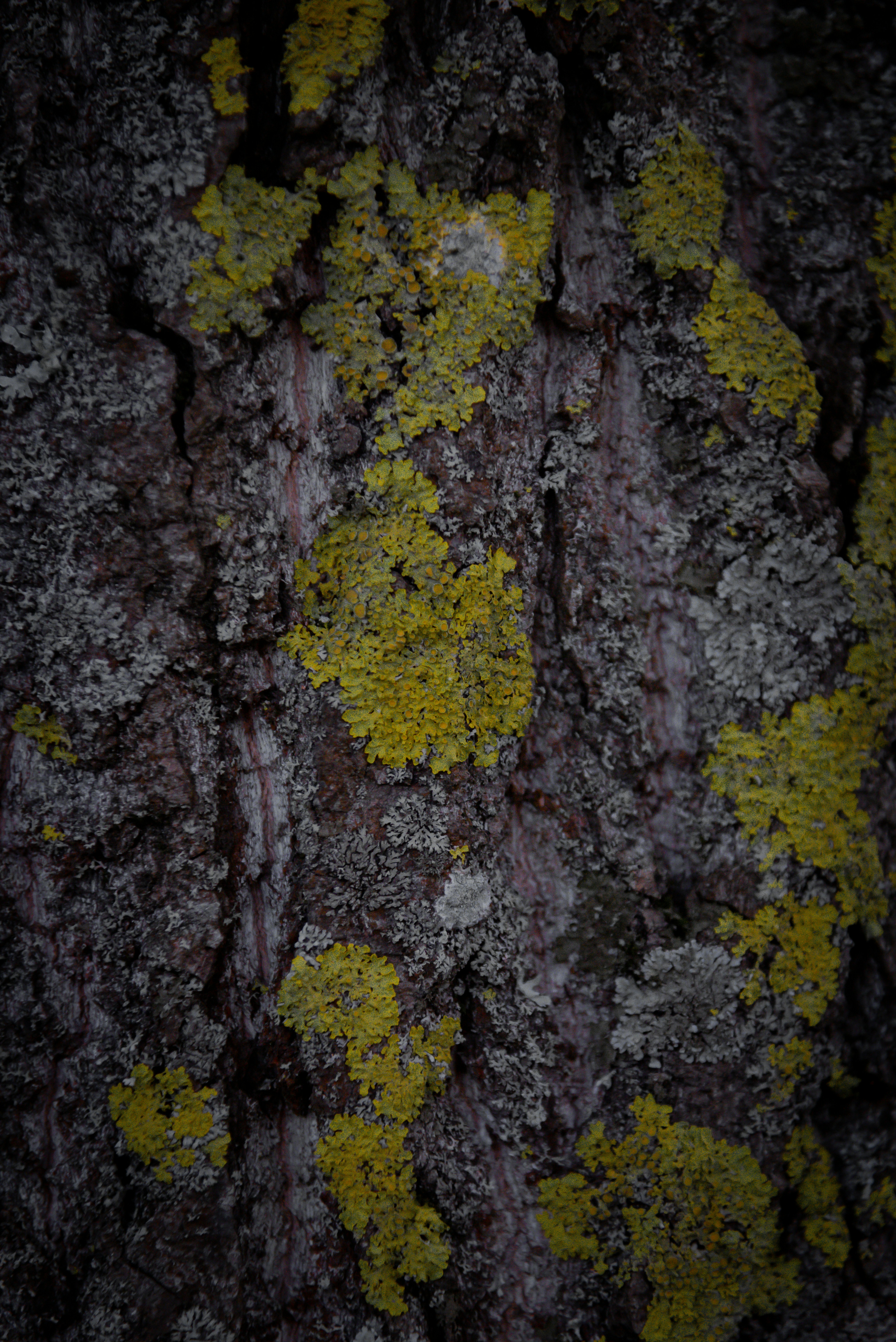 Photo by malwinanogaj