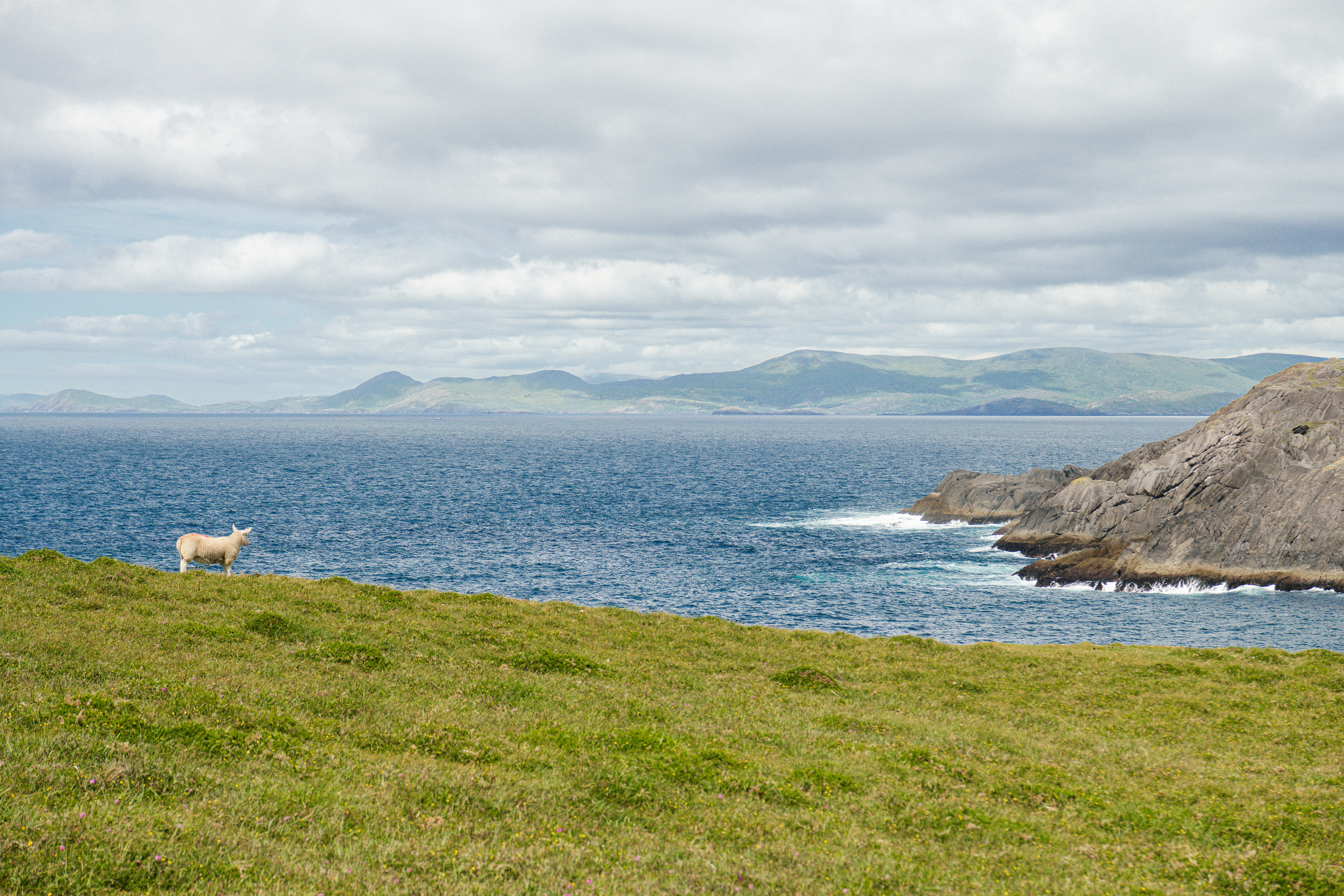 Photo by pilgrimmemoirs