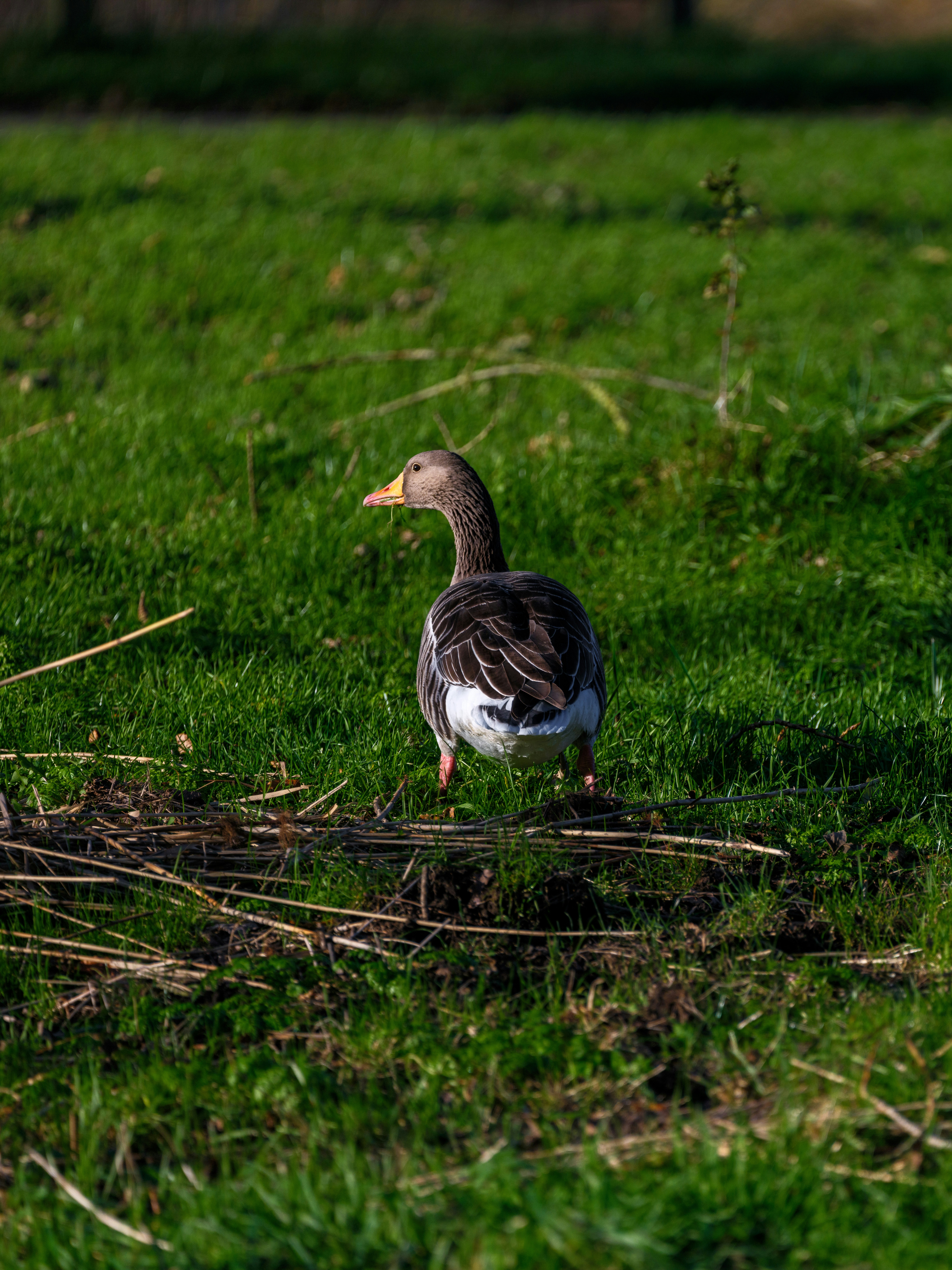 Photo by haberdoedas