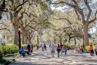 Forsyth Park