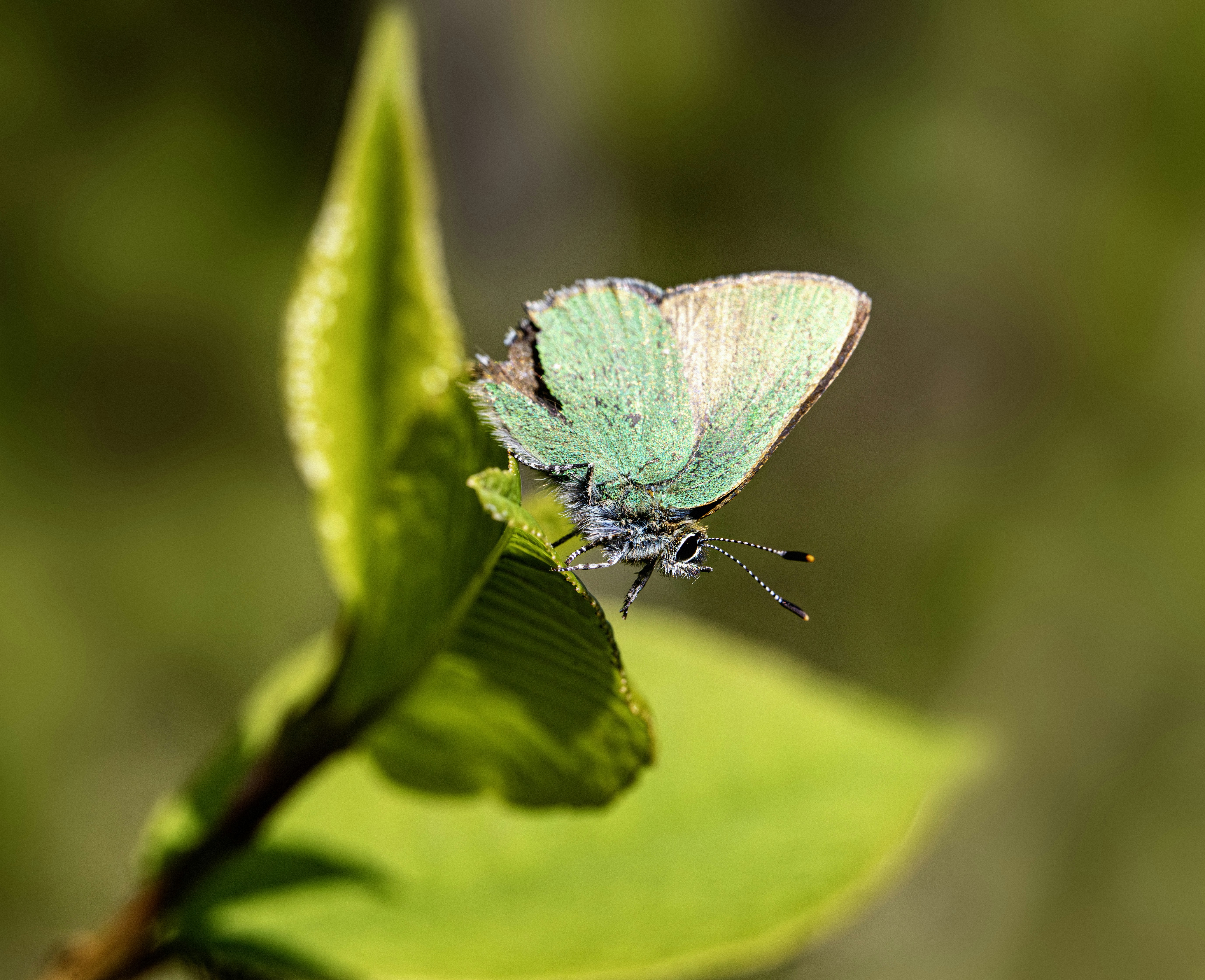 Photo by erik_karits