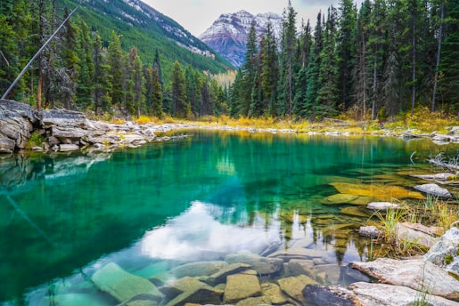 A mountain lake surrounded by trees and rocks