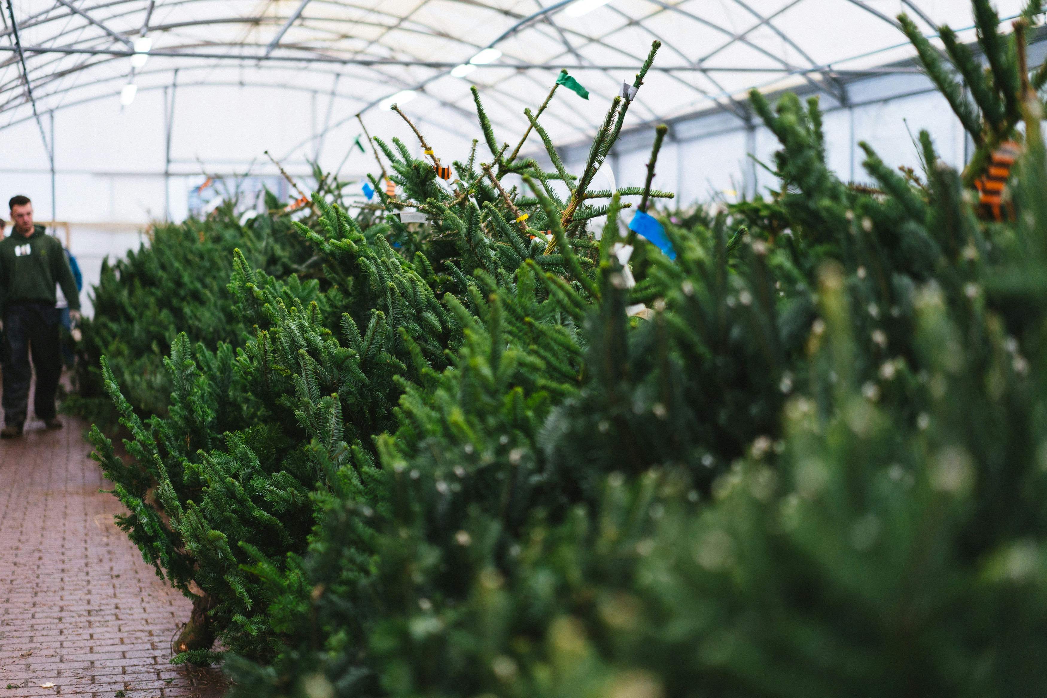 Photo by philhearing