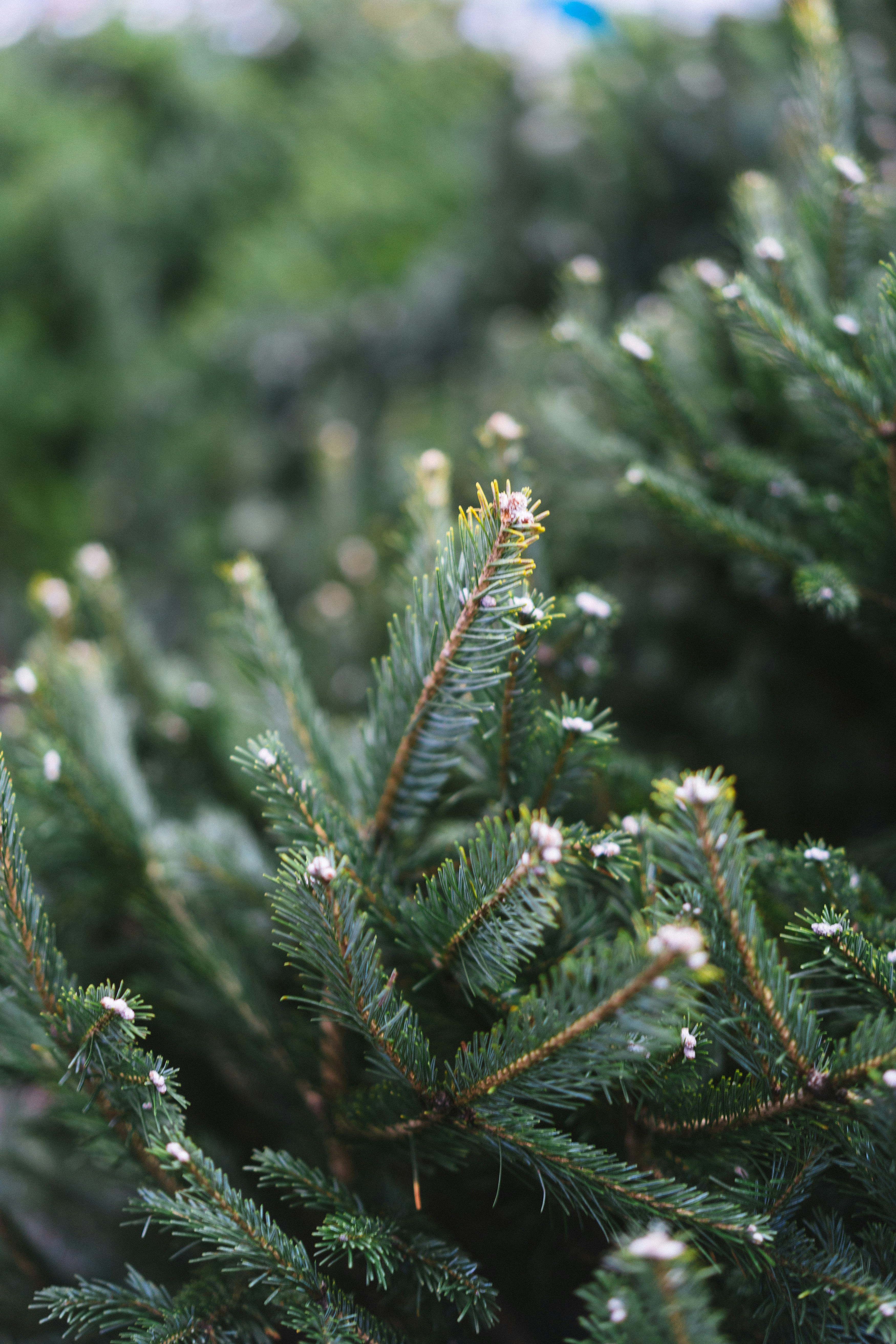 Photo by philhearing