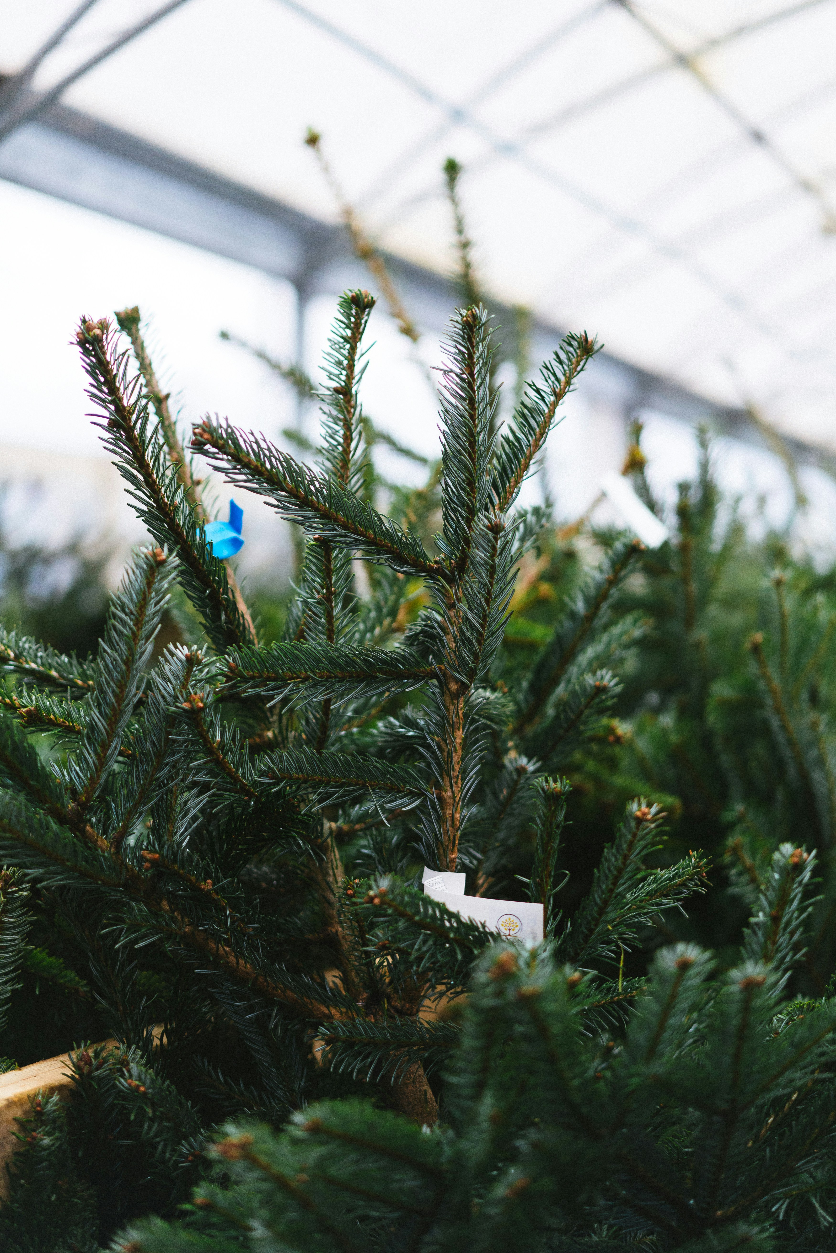 Photo by philhearing