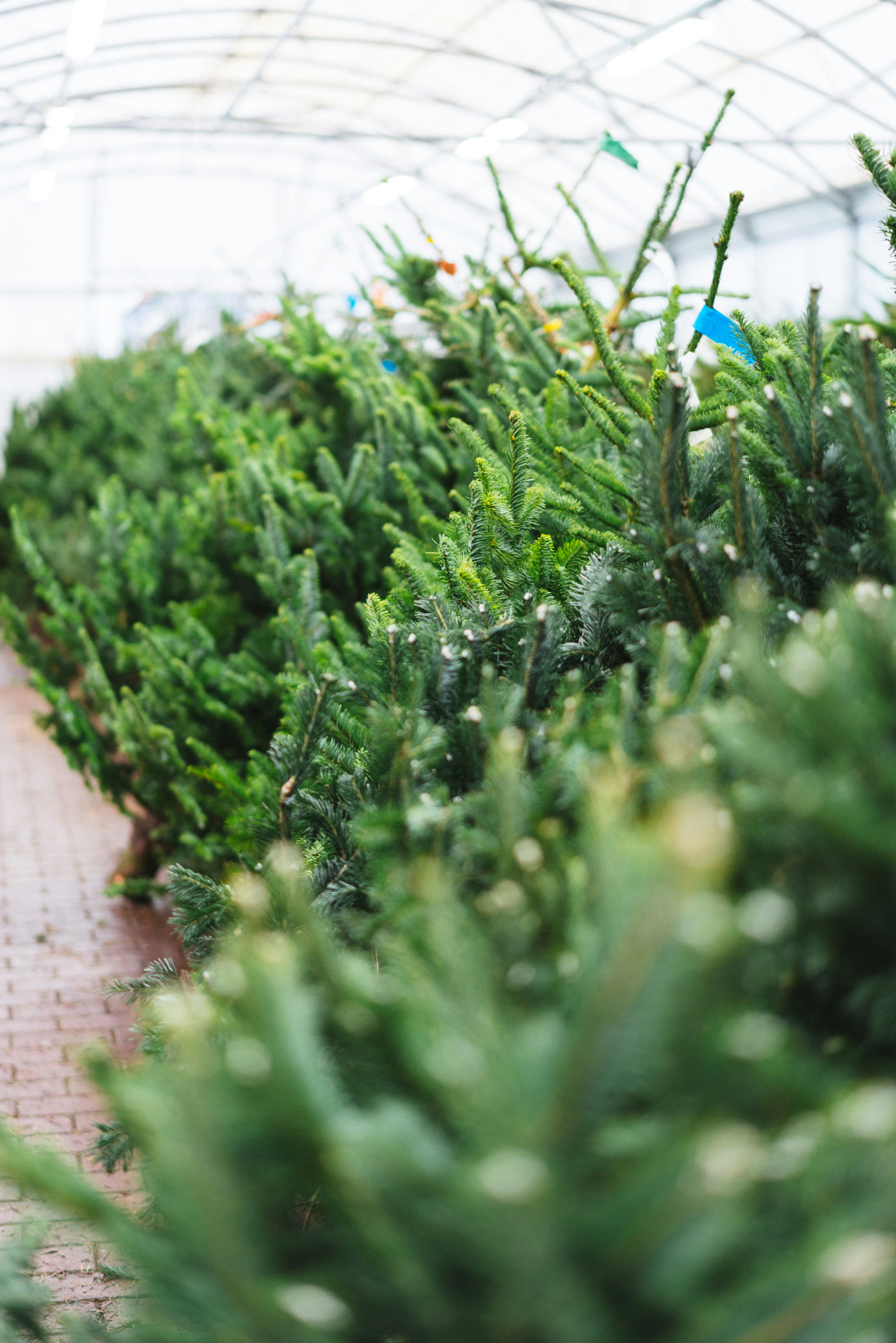 Photo by philhearing