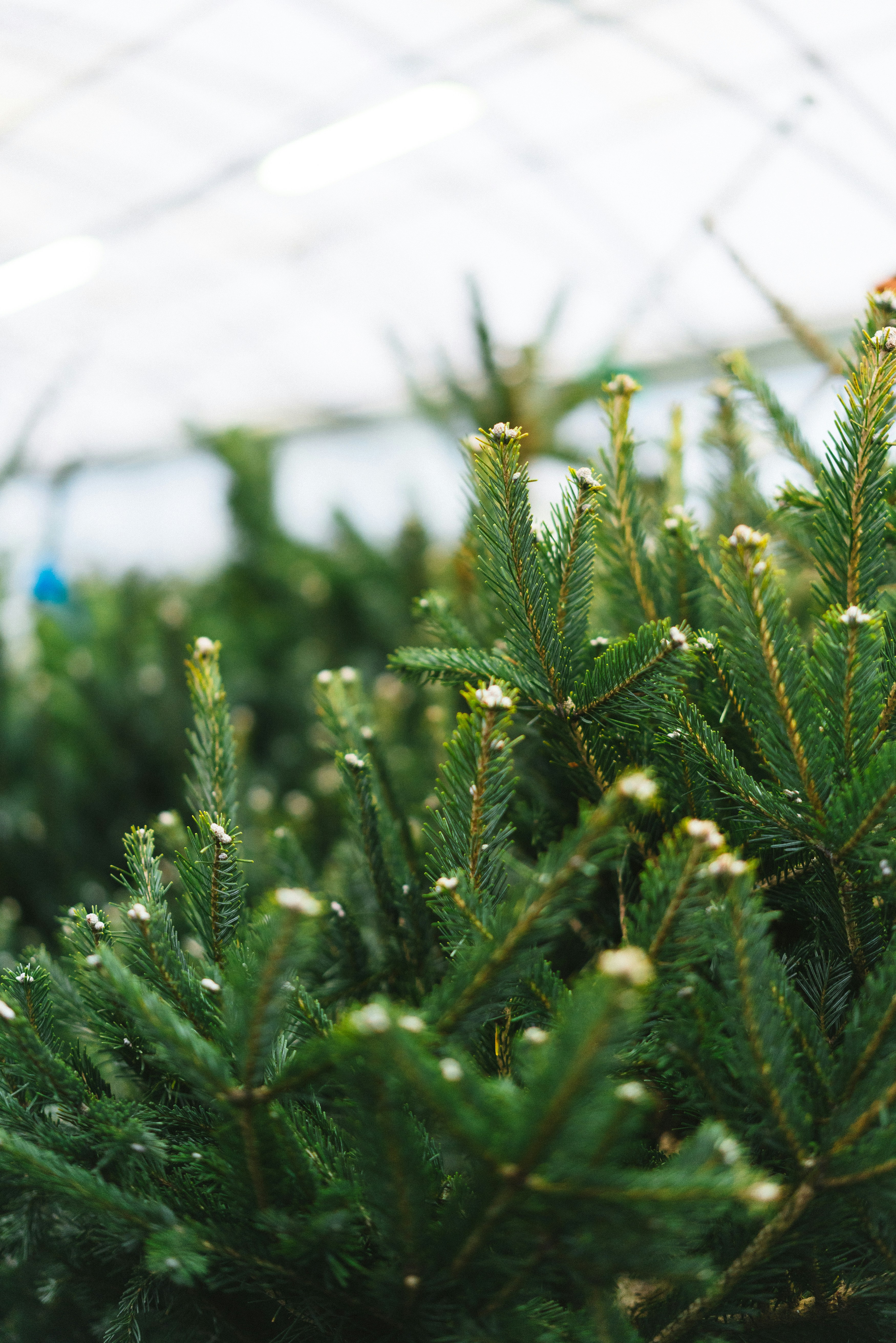 Photo by philhearing