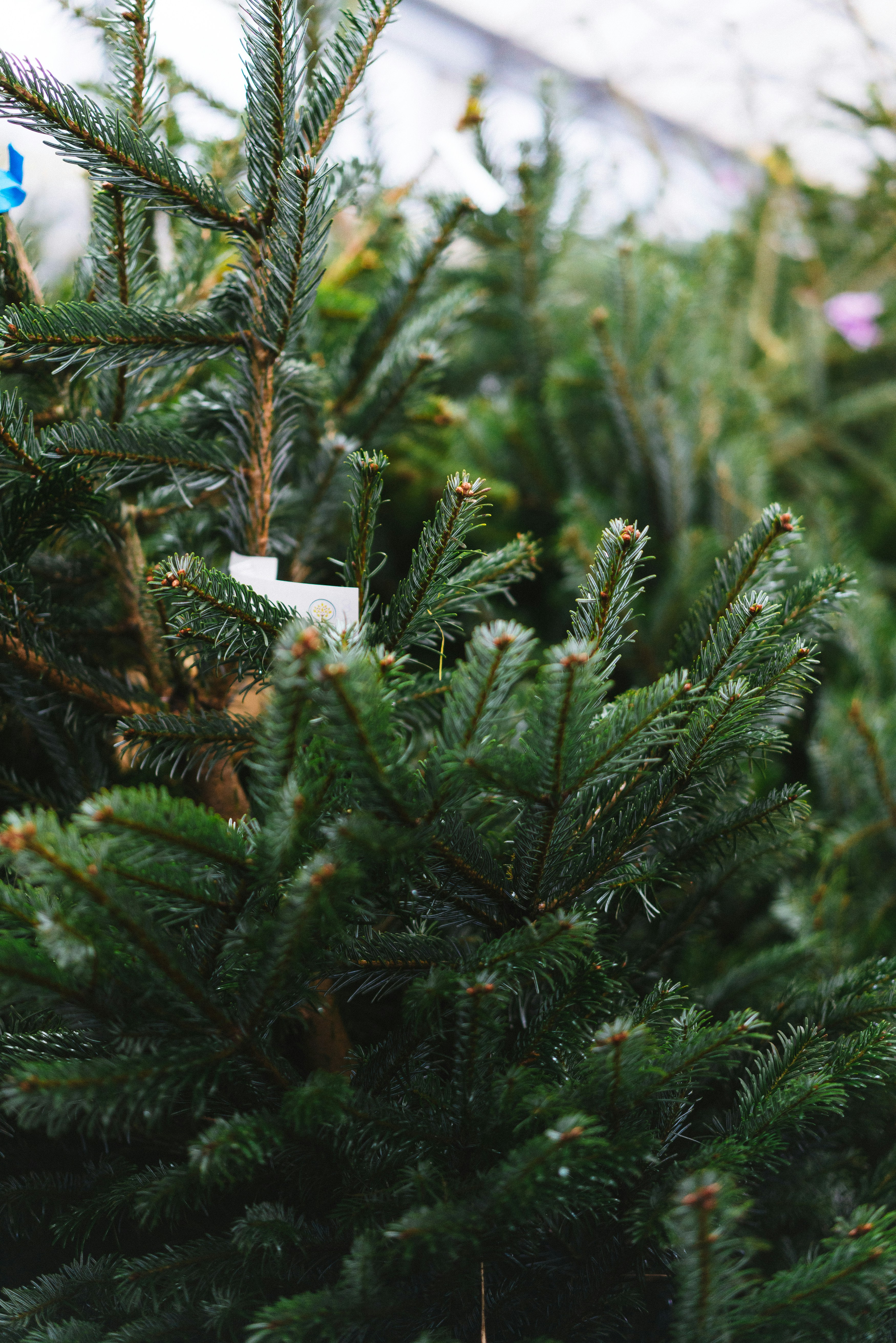 Photo by philhearing