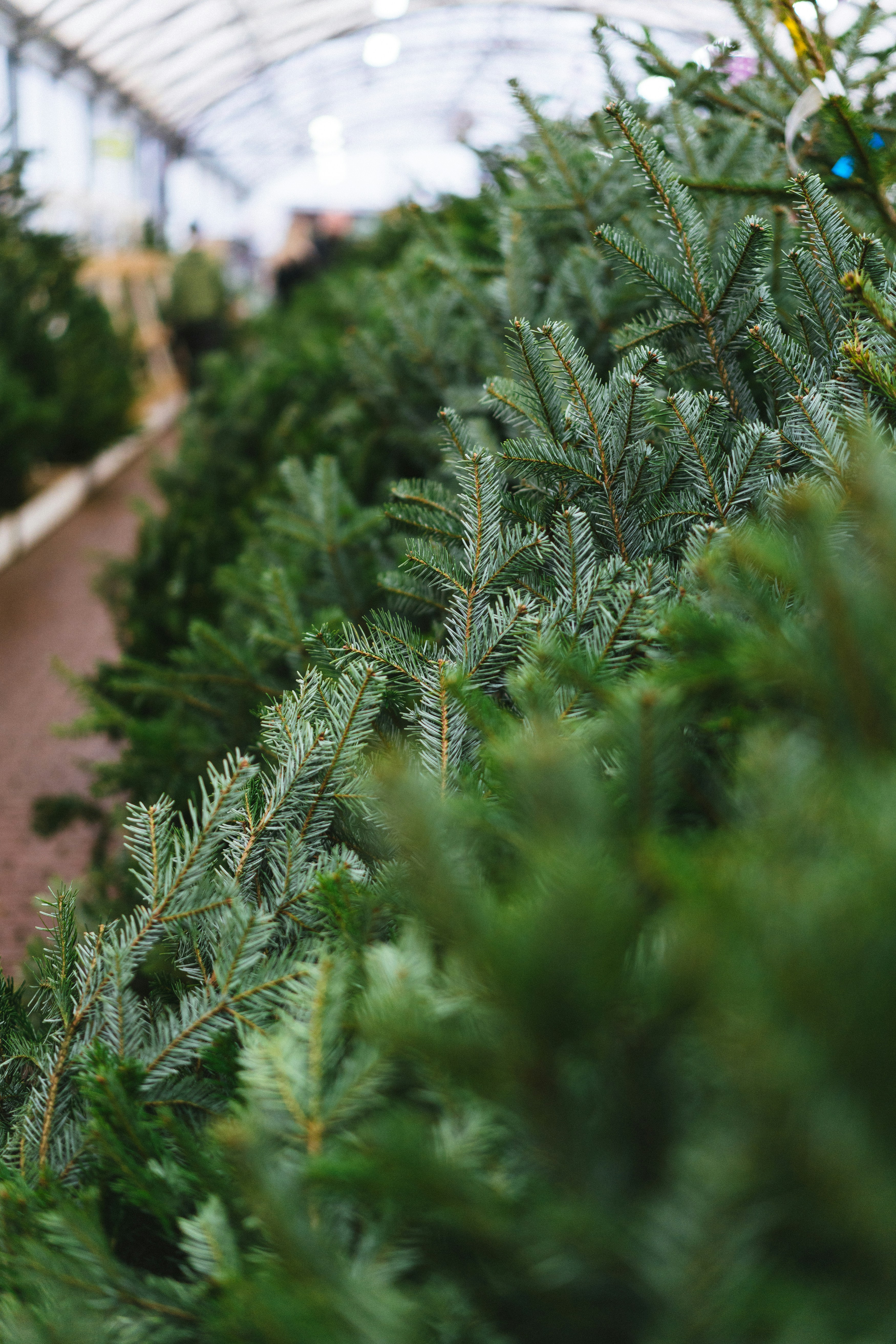 Photo by philhearing