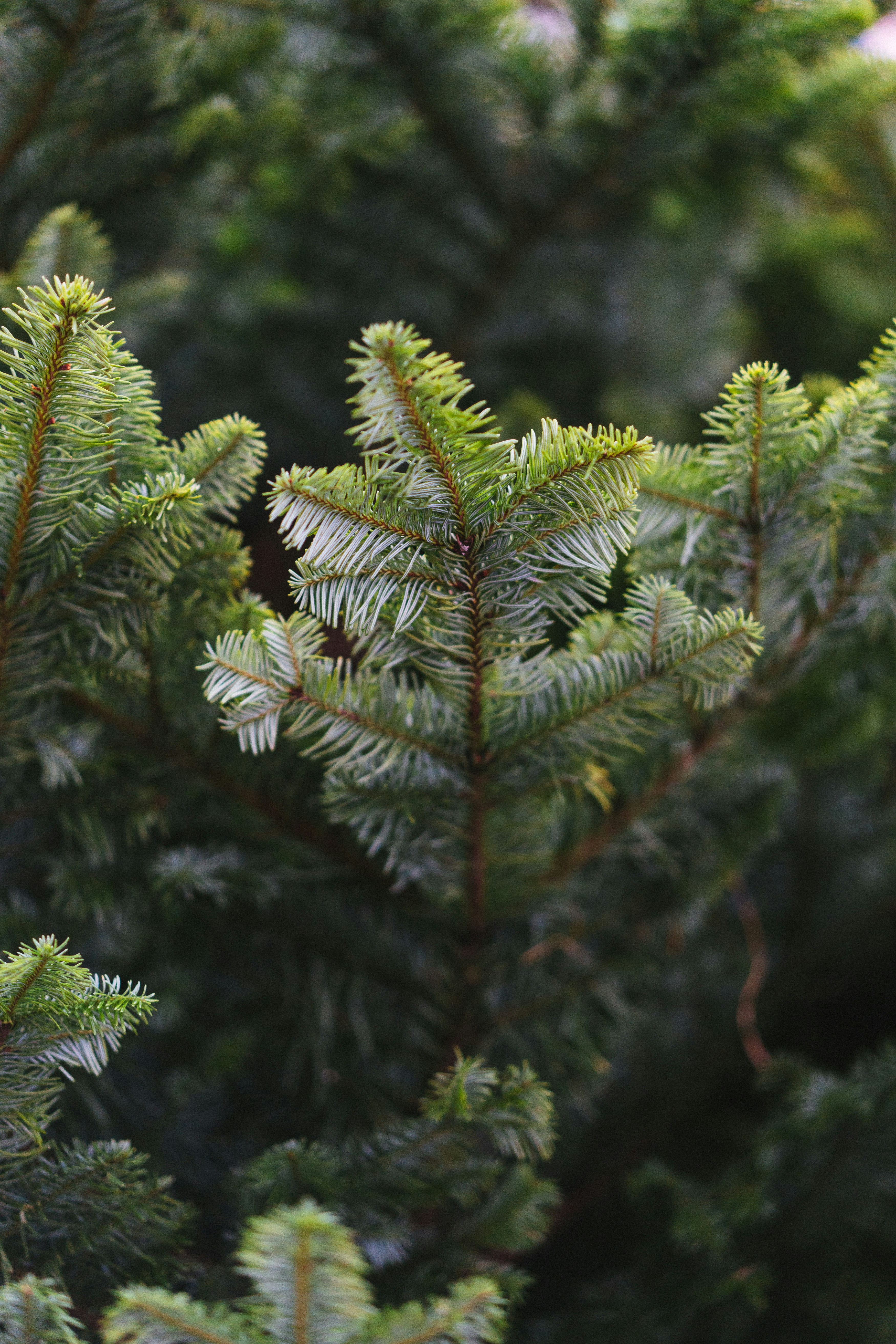 Photo by philhearing