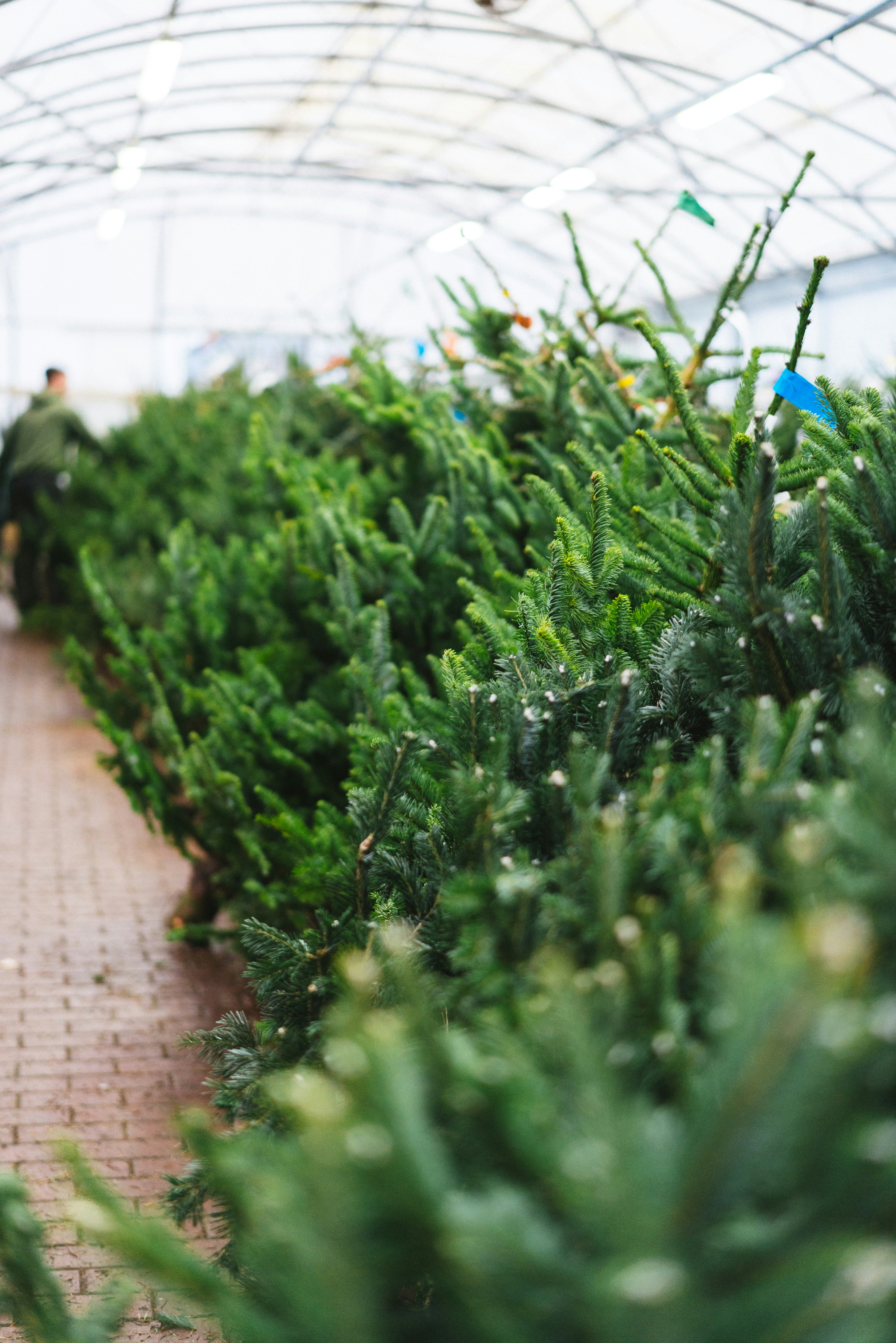 Photo by philhearing