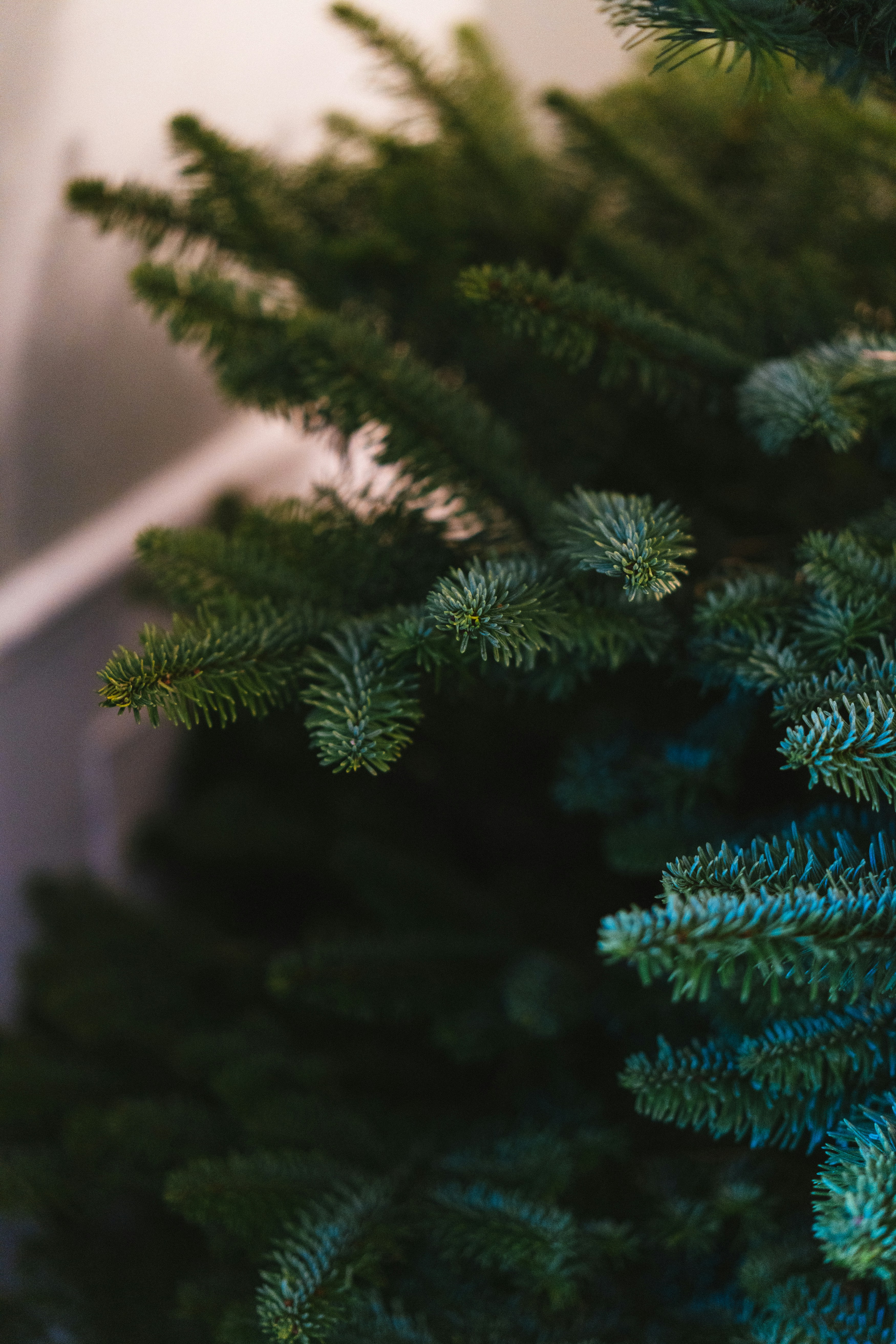 Photo by philhearing