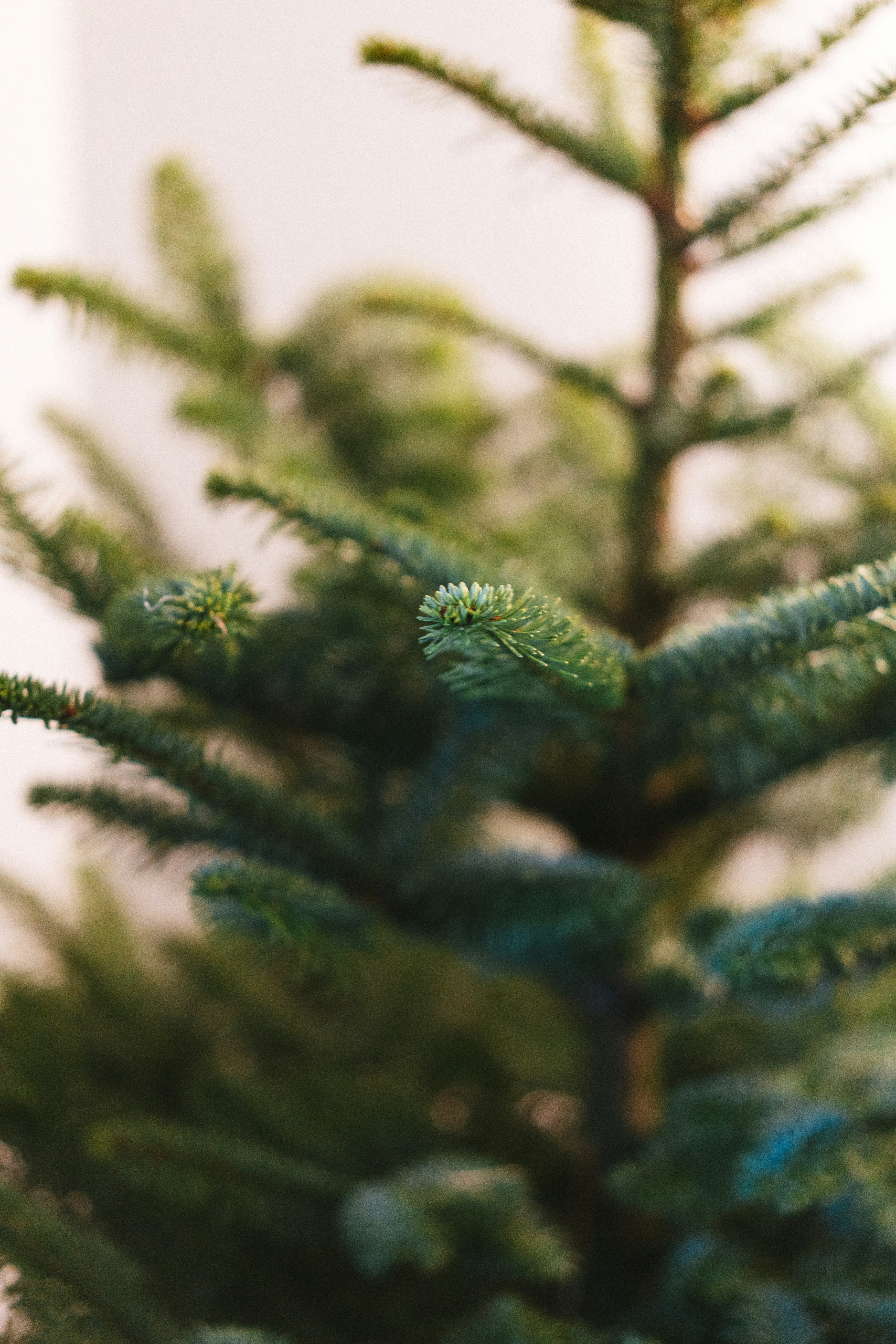 Photo by philhearing