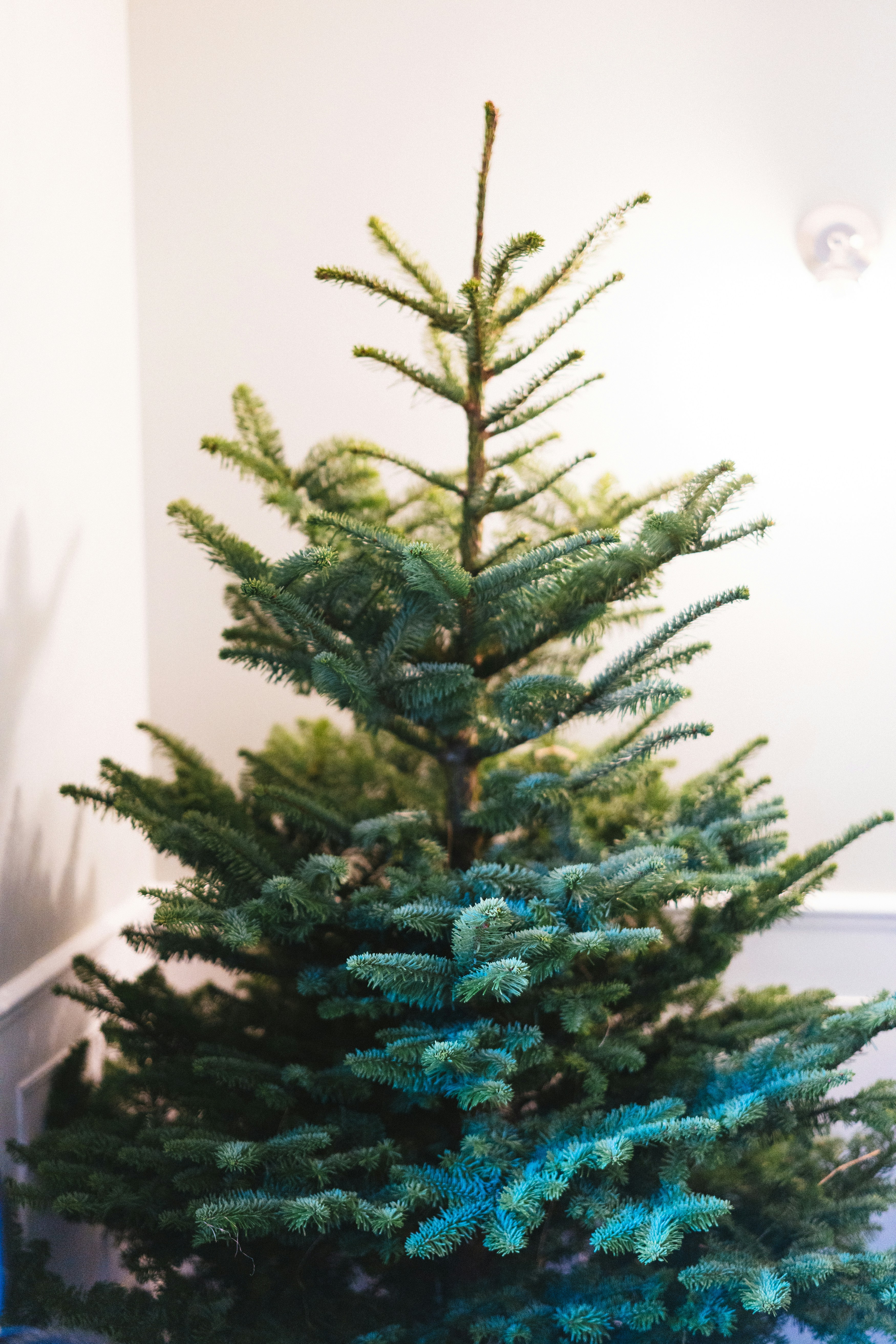 Photo by philhearing