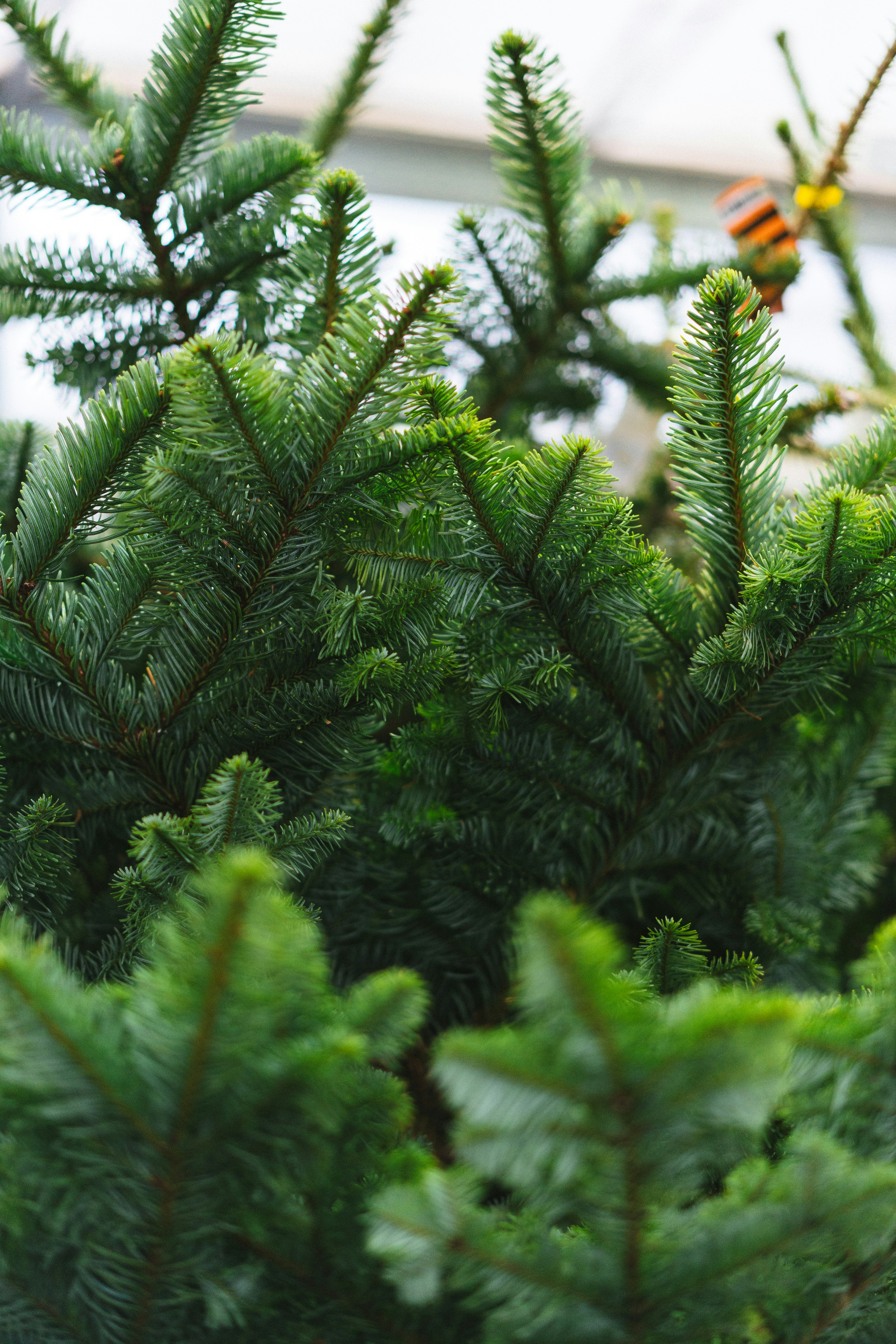 Photo by philhearing