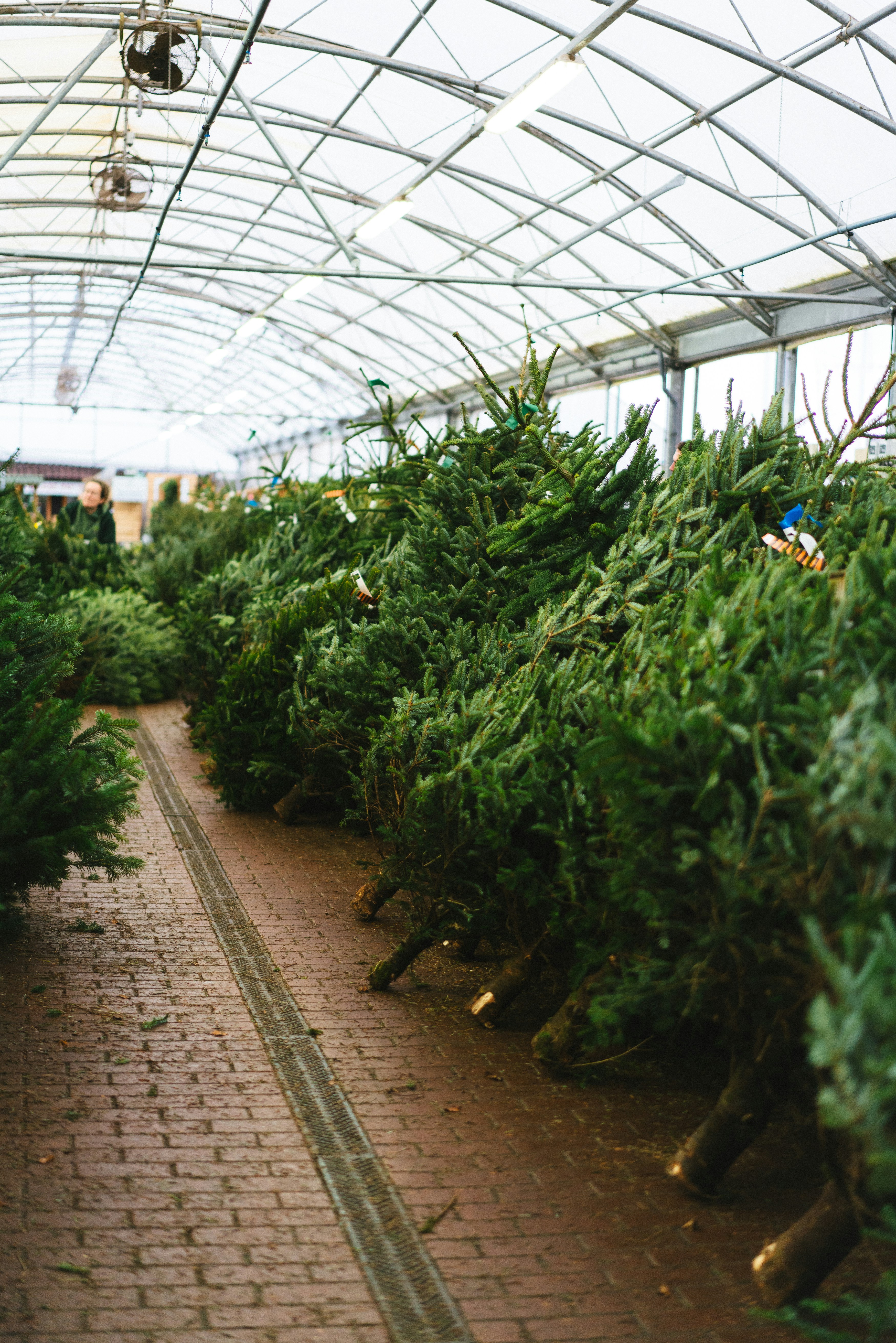 Photo by philhearing